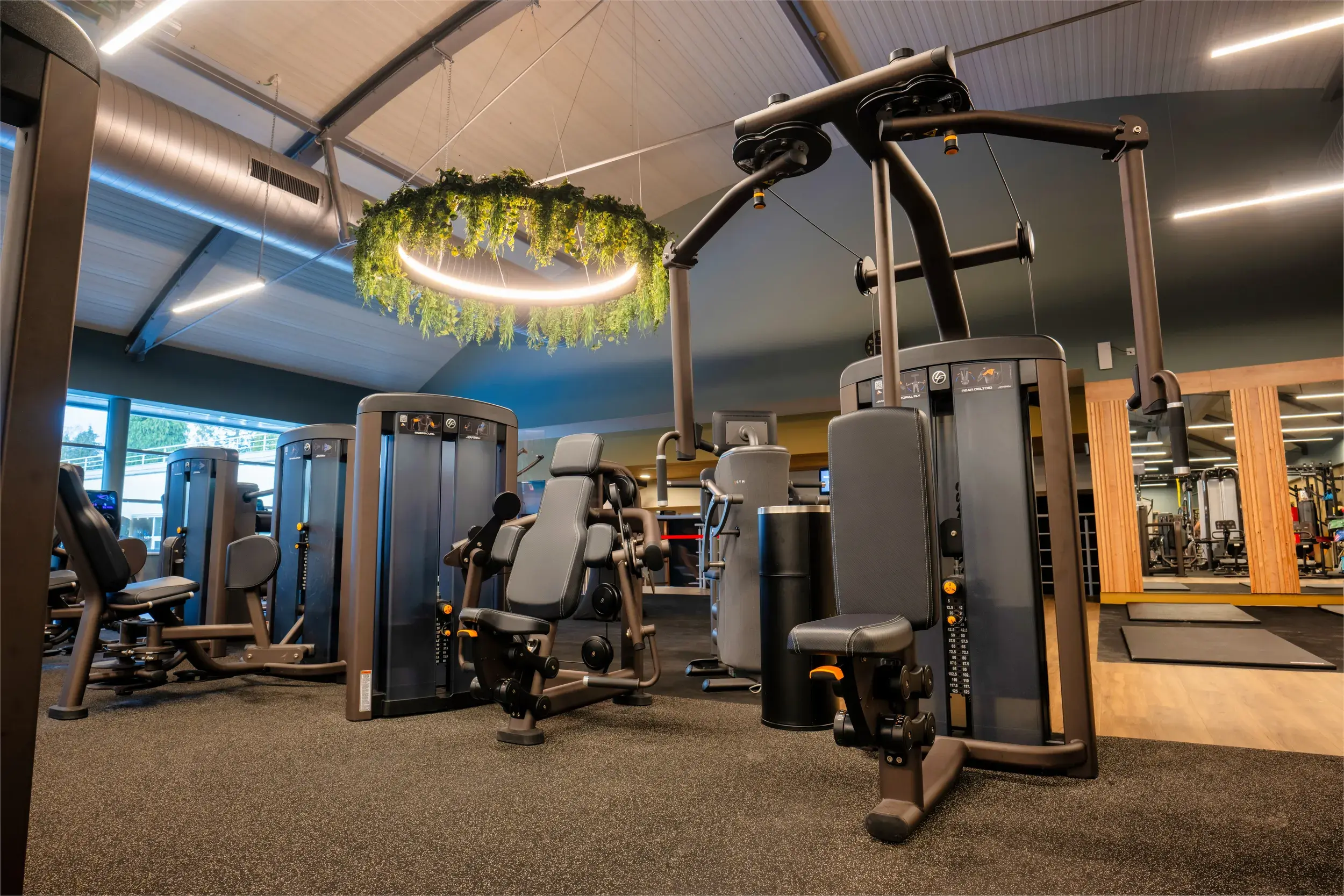 A weighted sled and functional training gym equipment