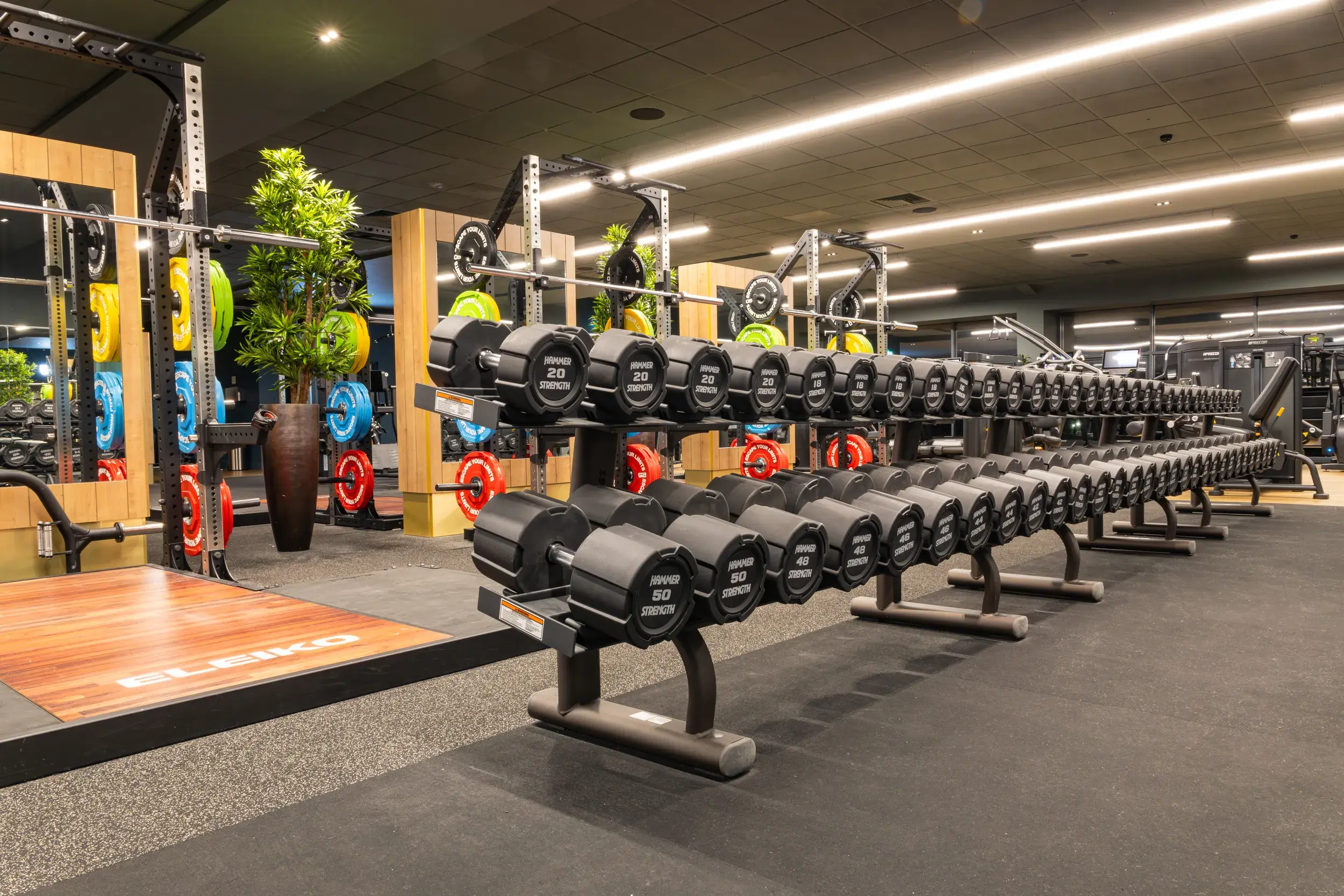 A rack of weights and Olympic lifting platforms
