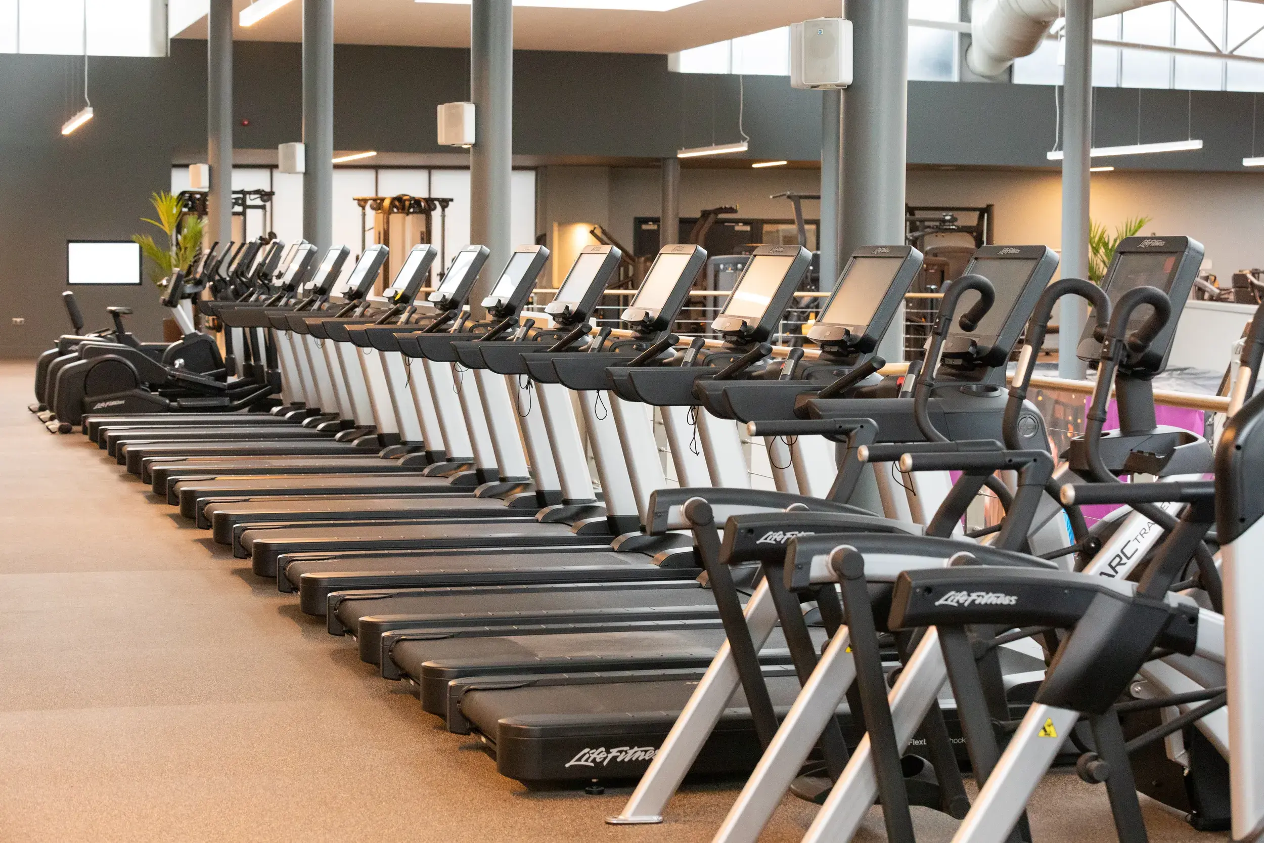 A row of treadmills at the gym at David Lloyd Cricklewood Lane