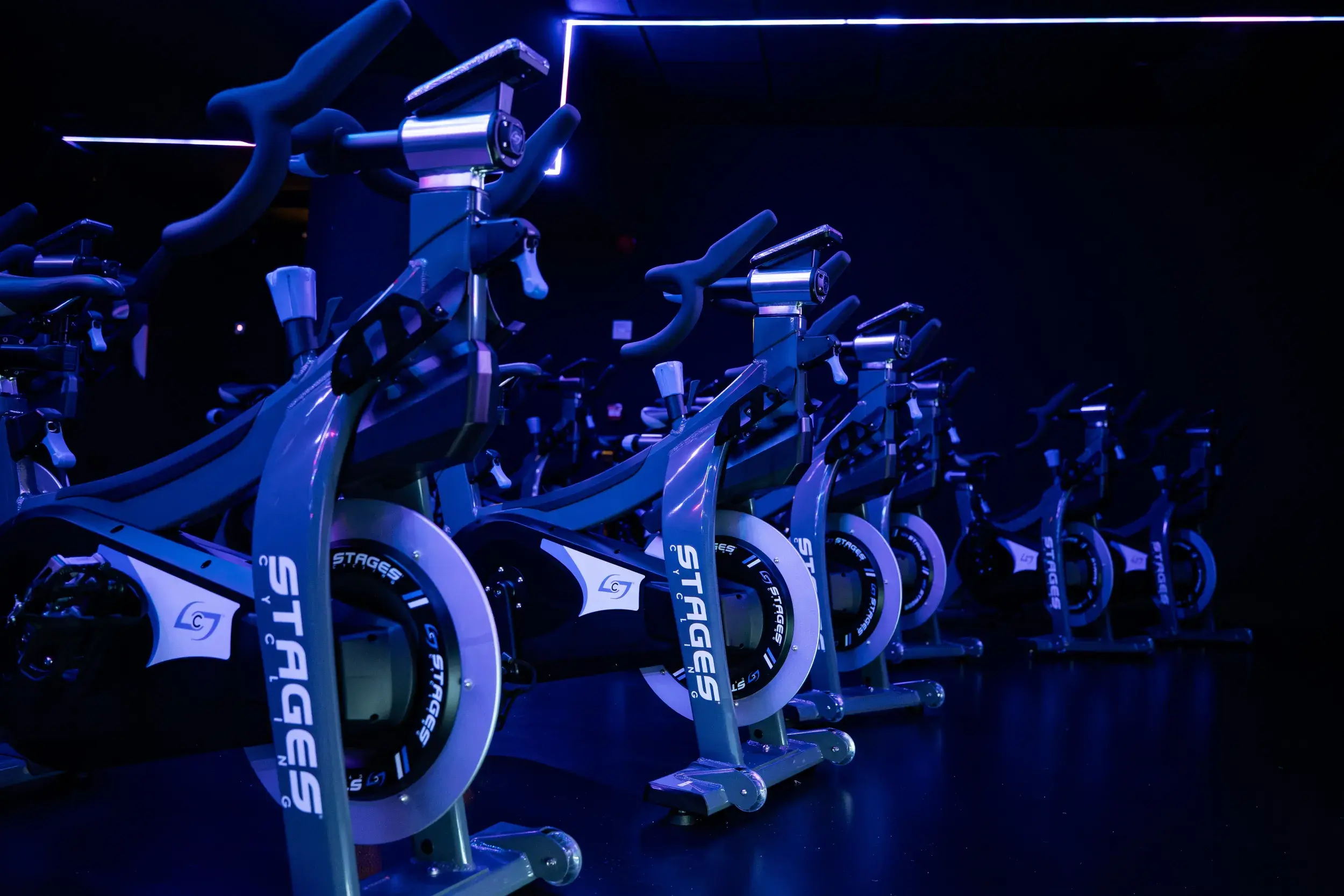 El estudio de cycle en Serrano