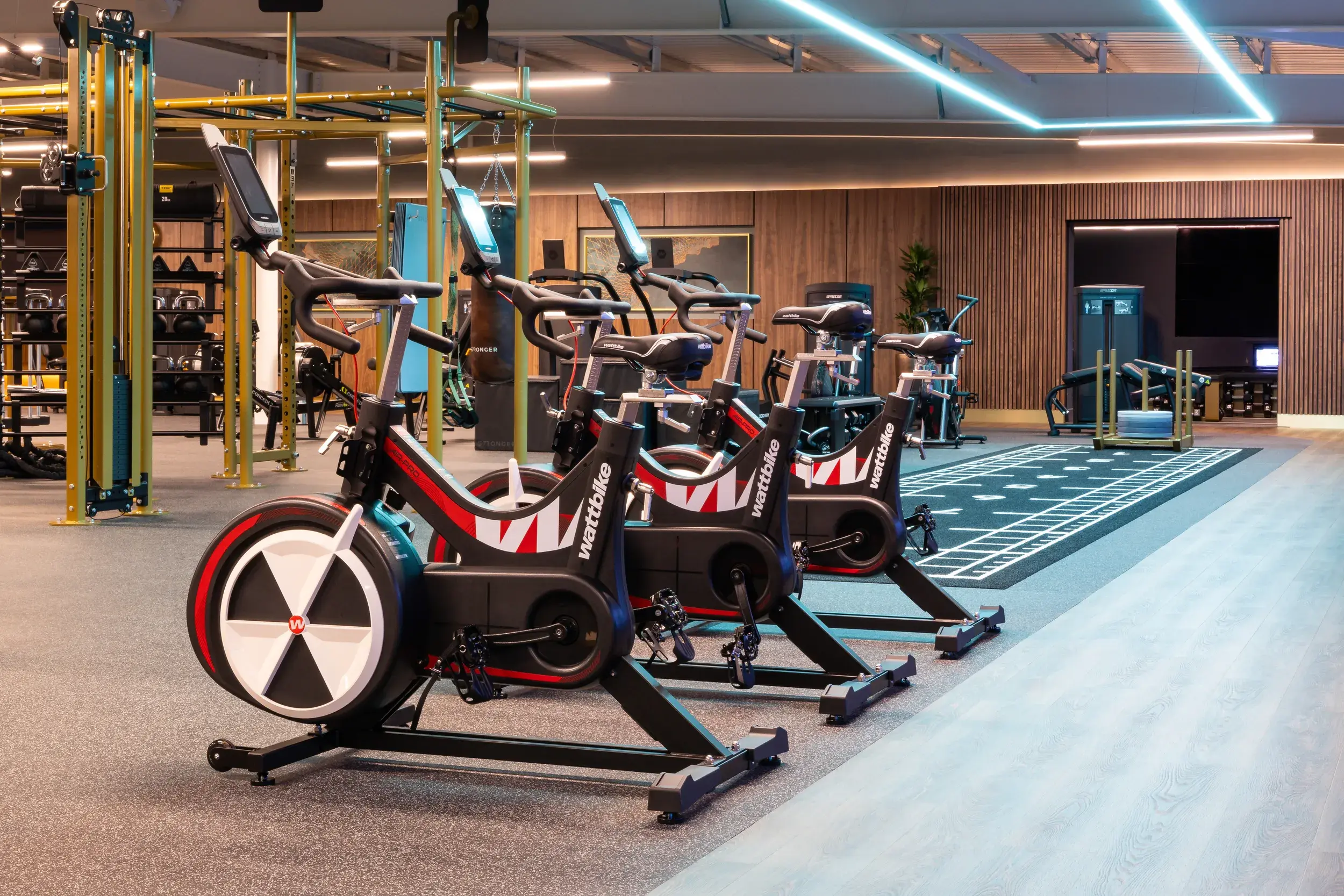 People working out on treadmills and cross trainers