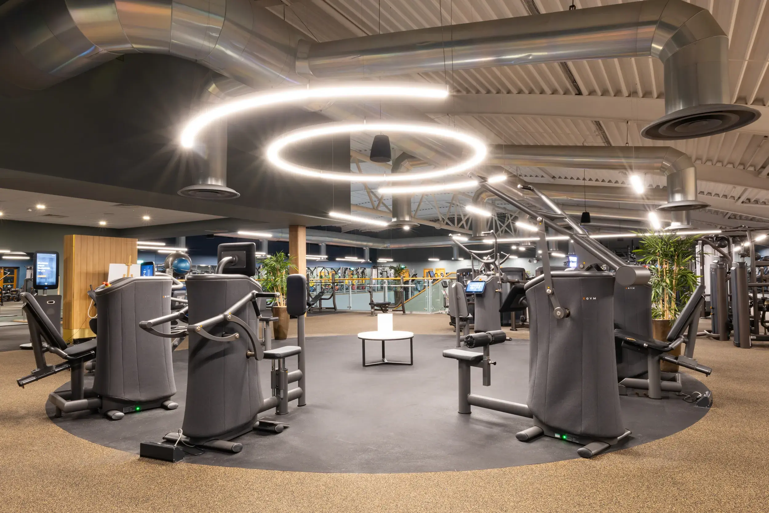 The Intuitive Strength Circuit