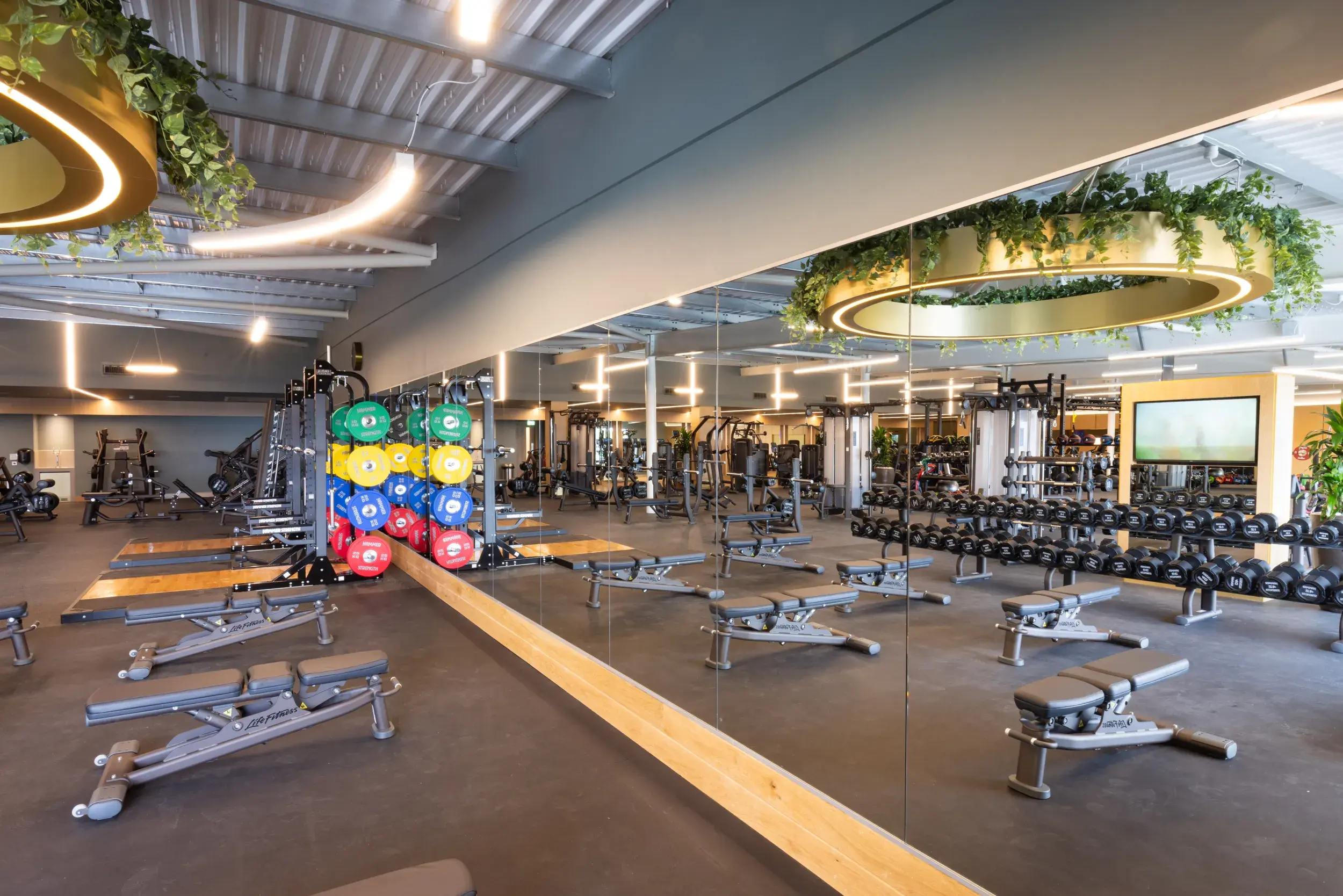 The spacious gym at David Lloyd Rugby