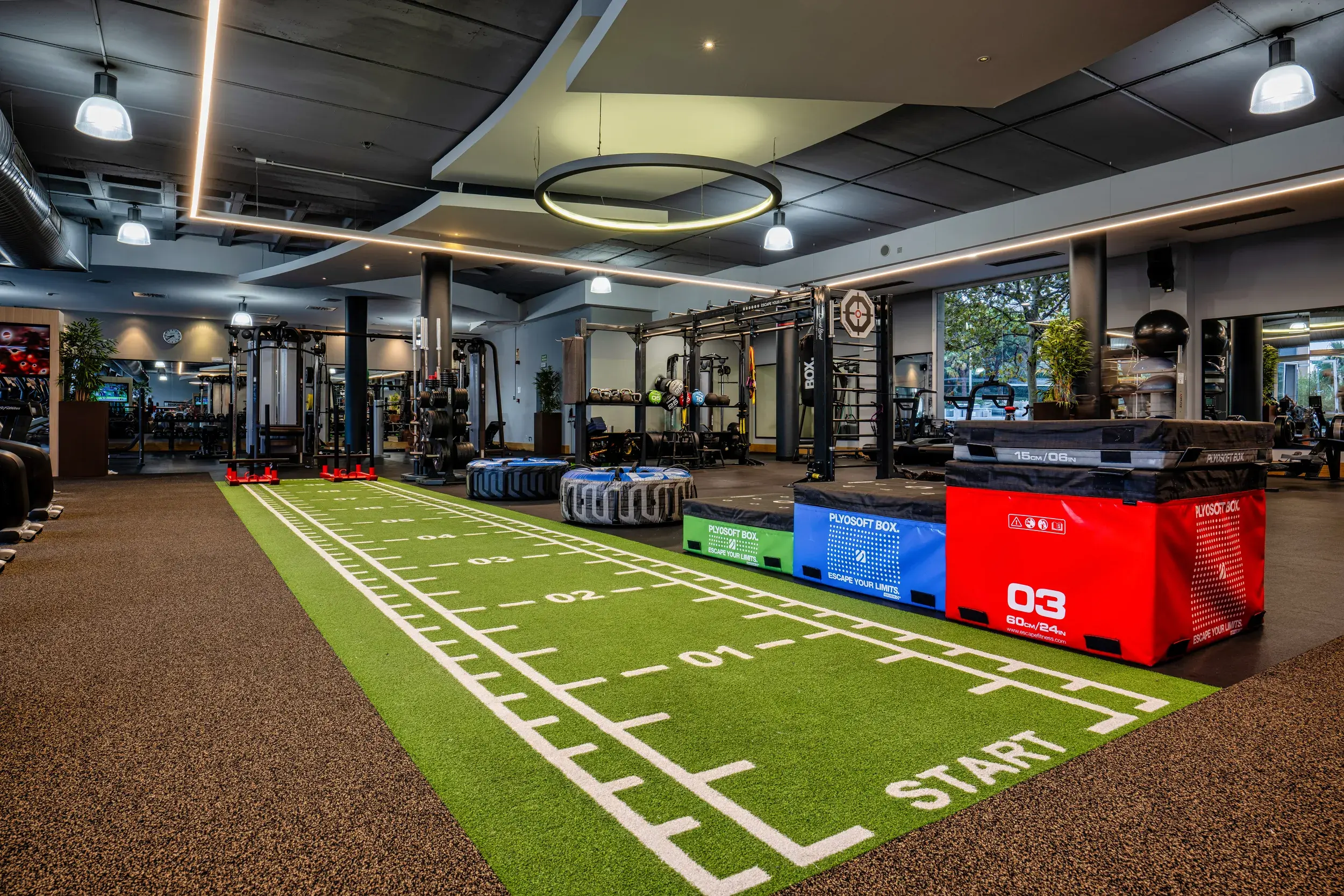 Equipment in the gym