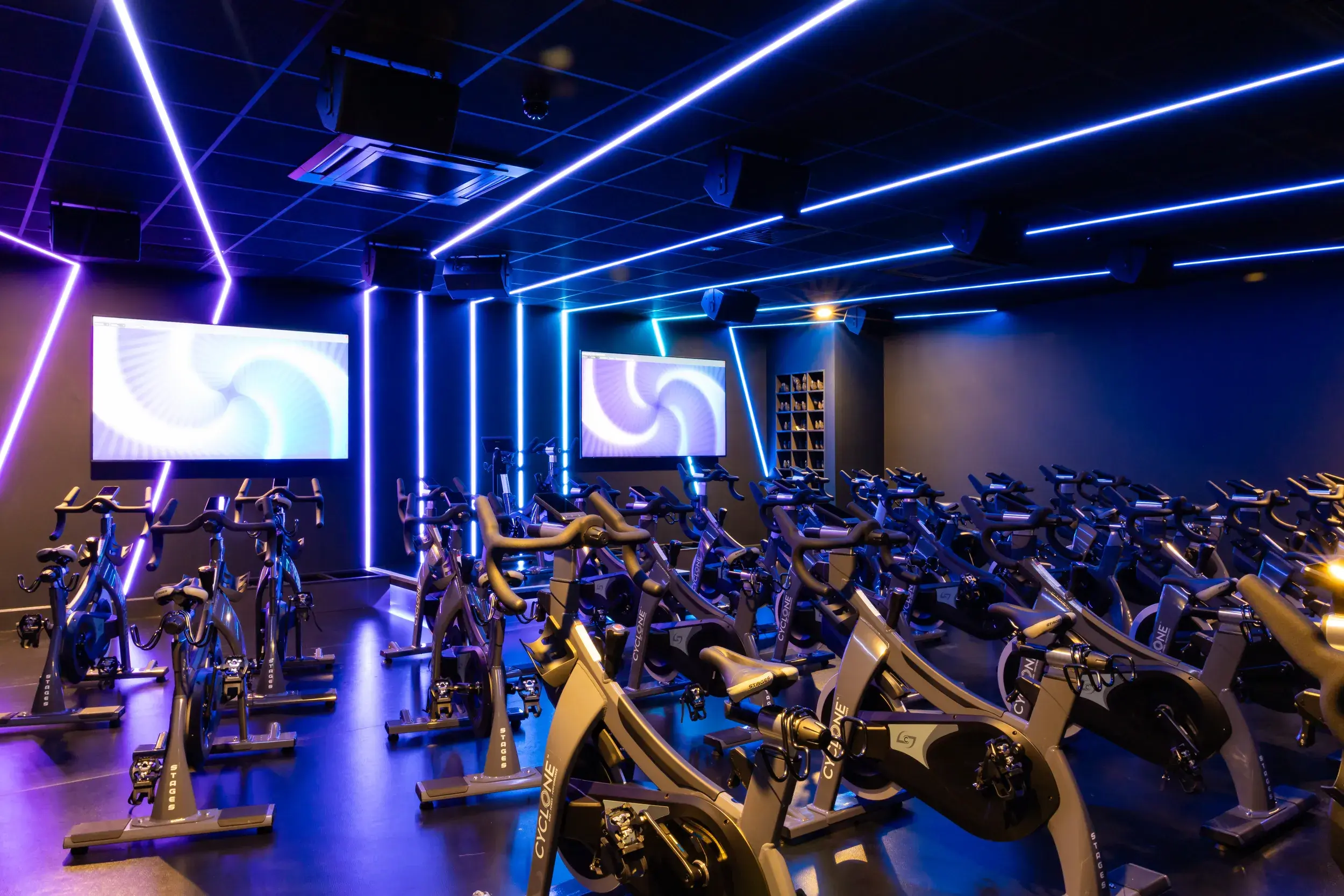 A cycle studio with upright bikes arranged in rows