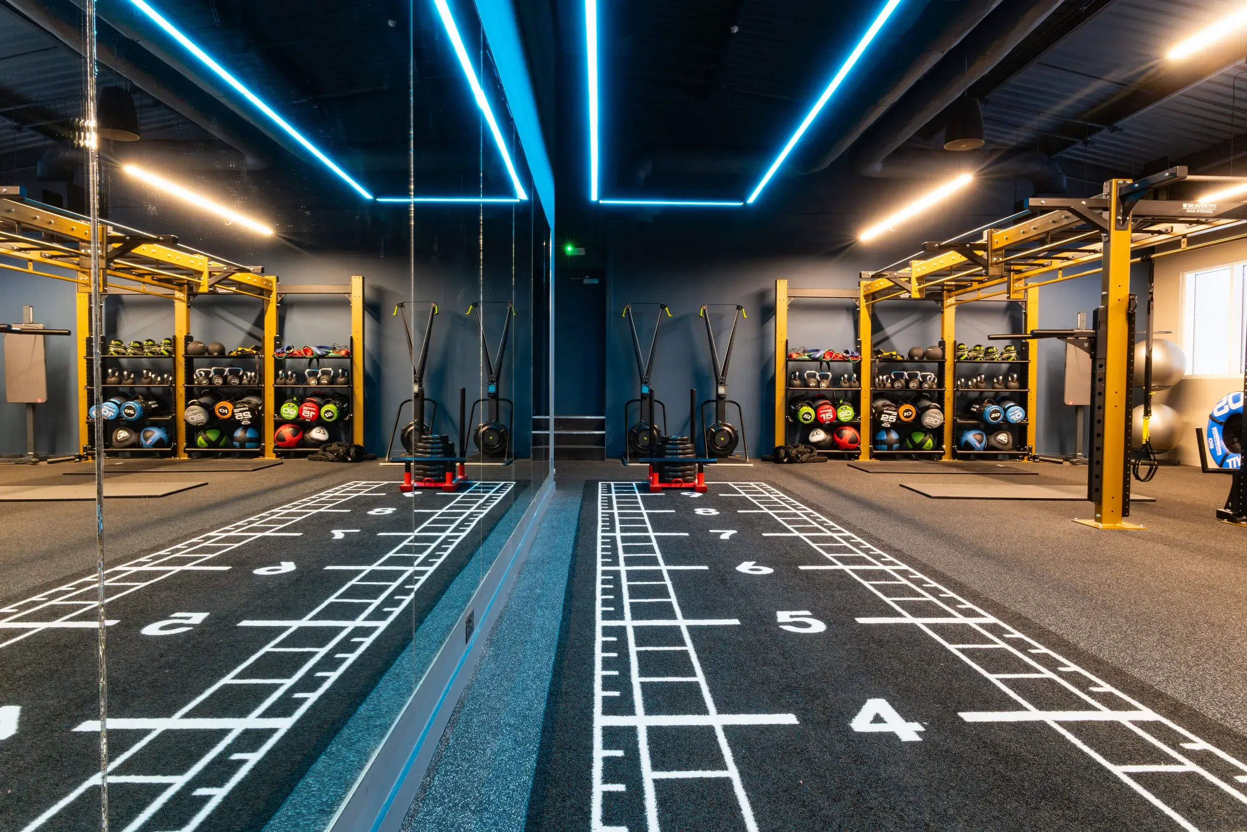 The gym at David Lloyd Notting Hill