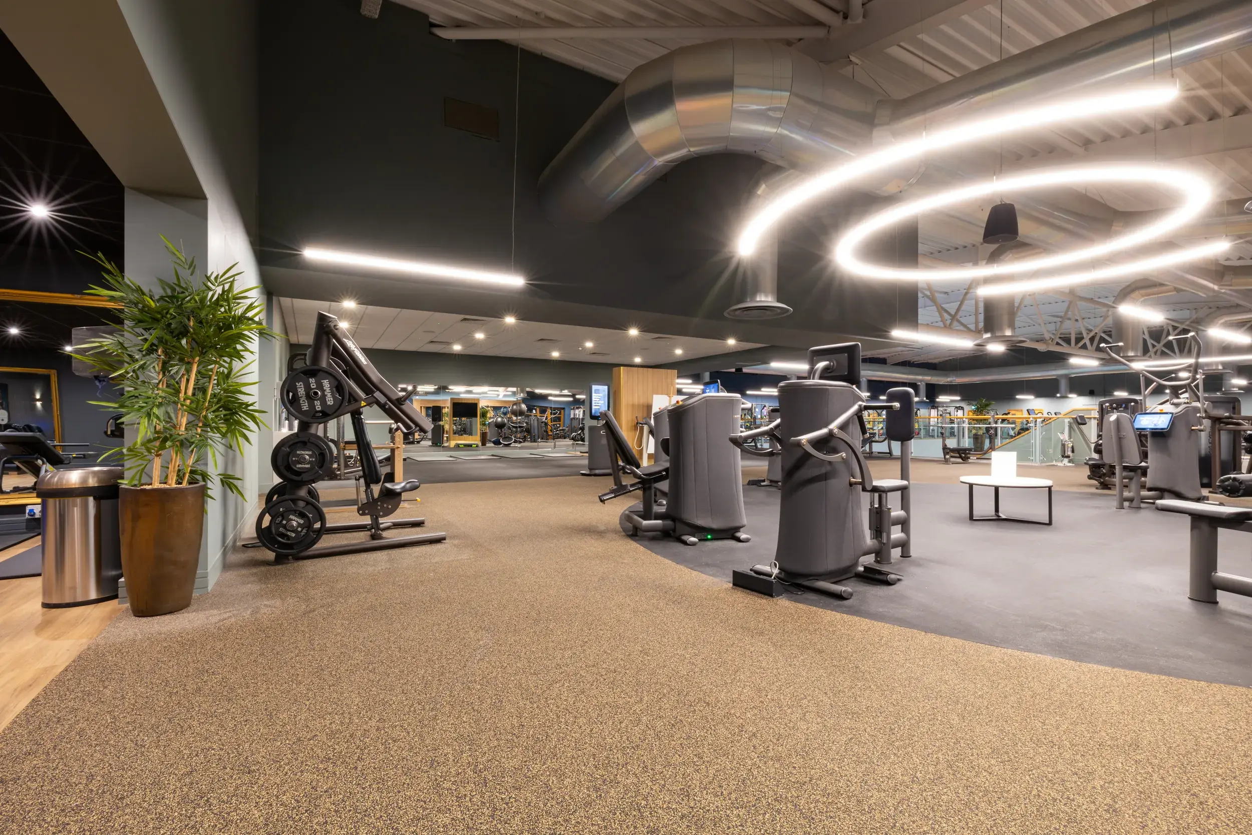 The gym at David Lloyd Beckenham