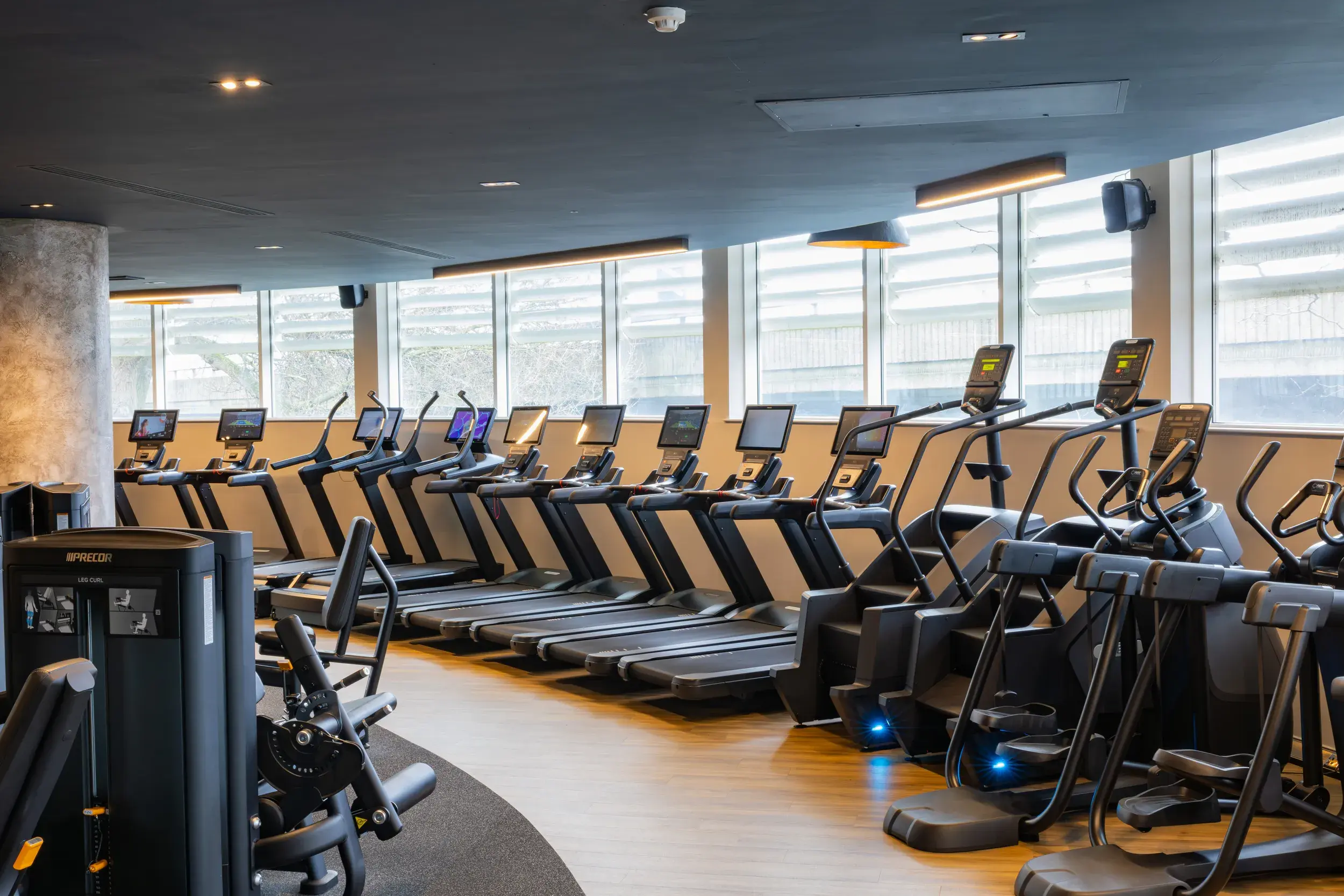 Gym with treadmills and weight machines