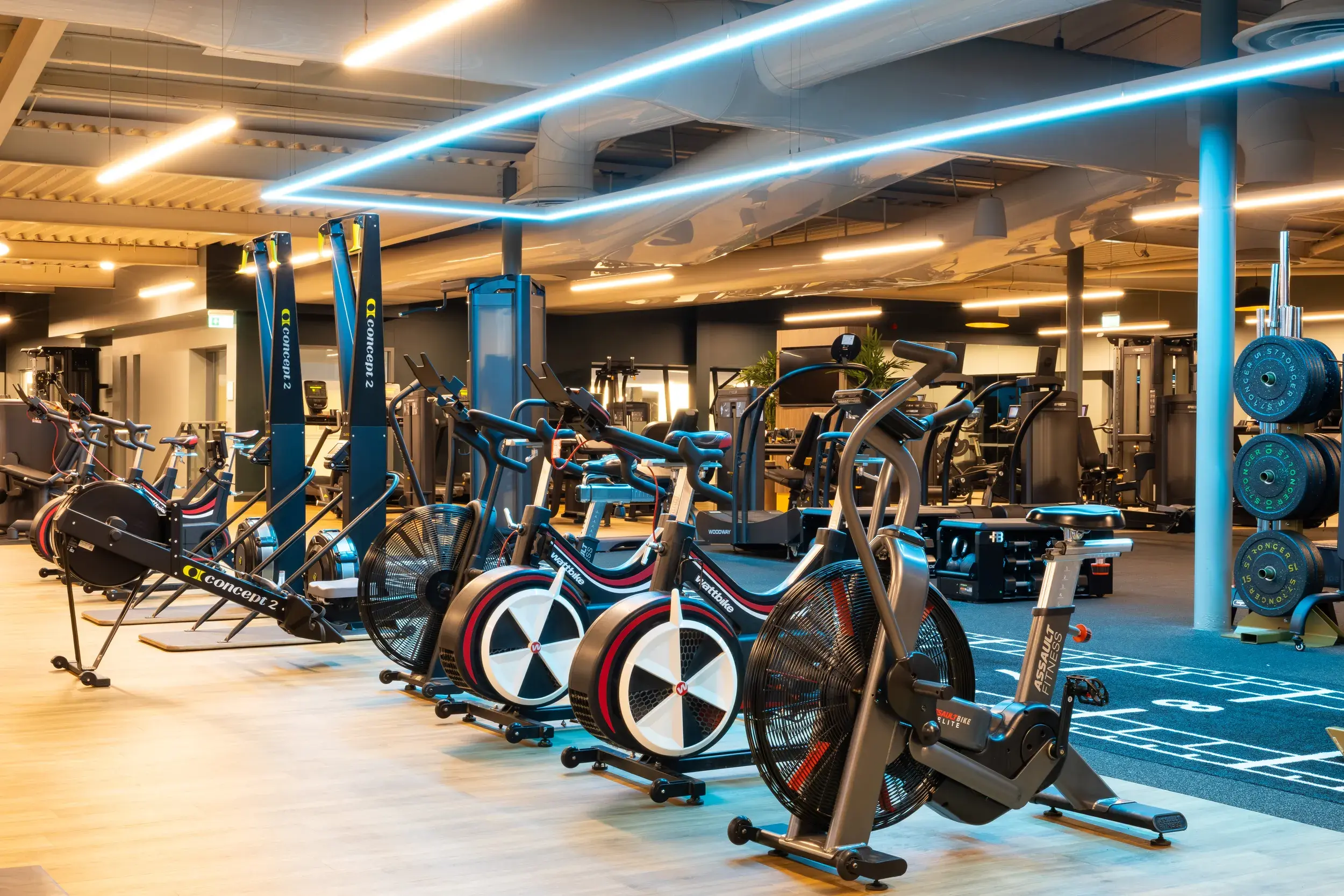 The gym