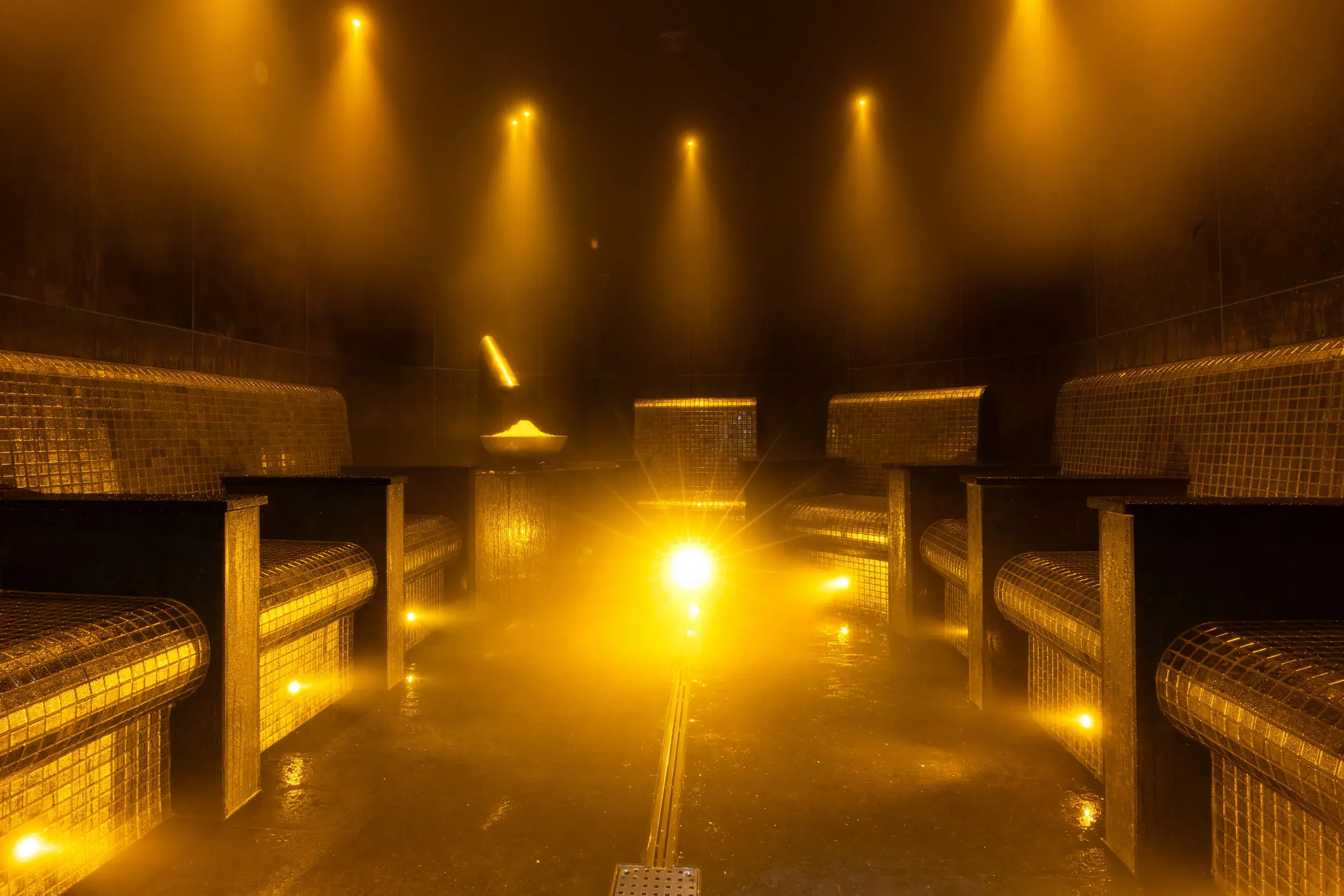 The indoor swimming pool