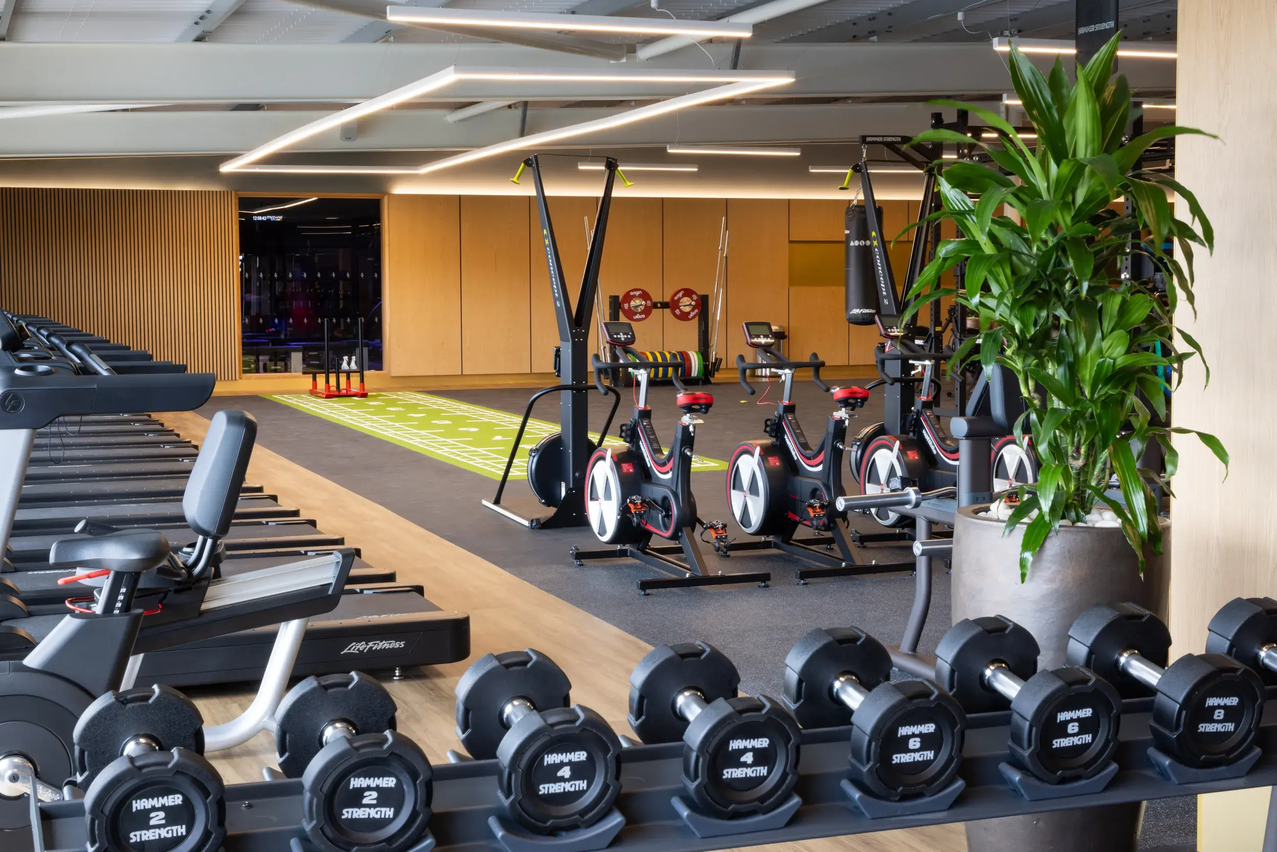 A weighted sled and functional training gym equipment