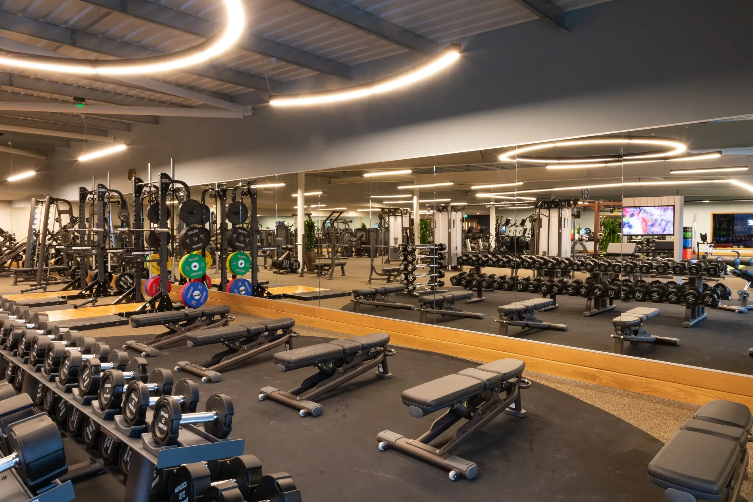 Weights and the gym floor at David Lloyd Bicester