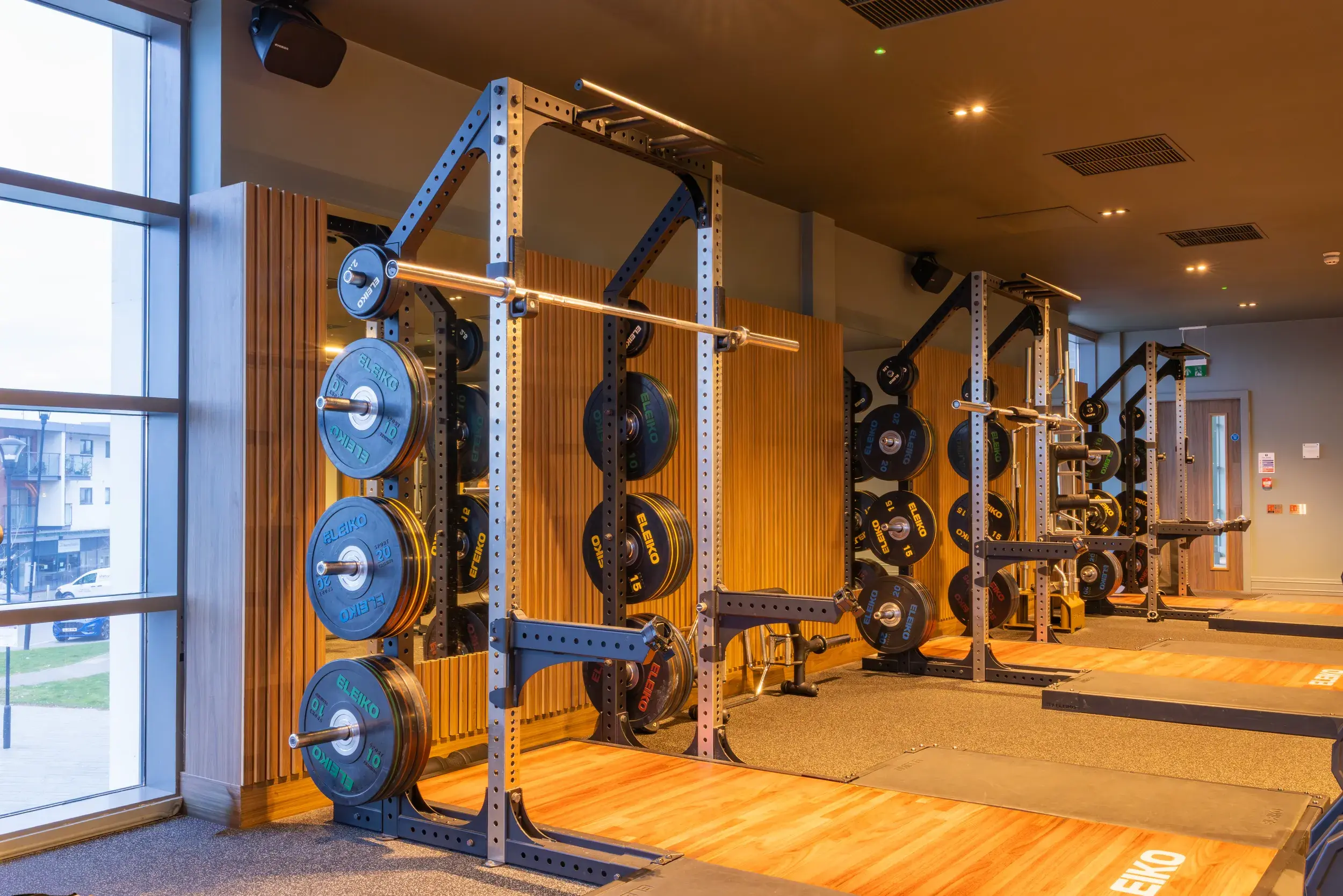 Free weights on the gym floor