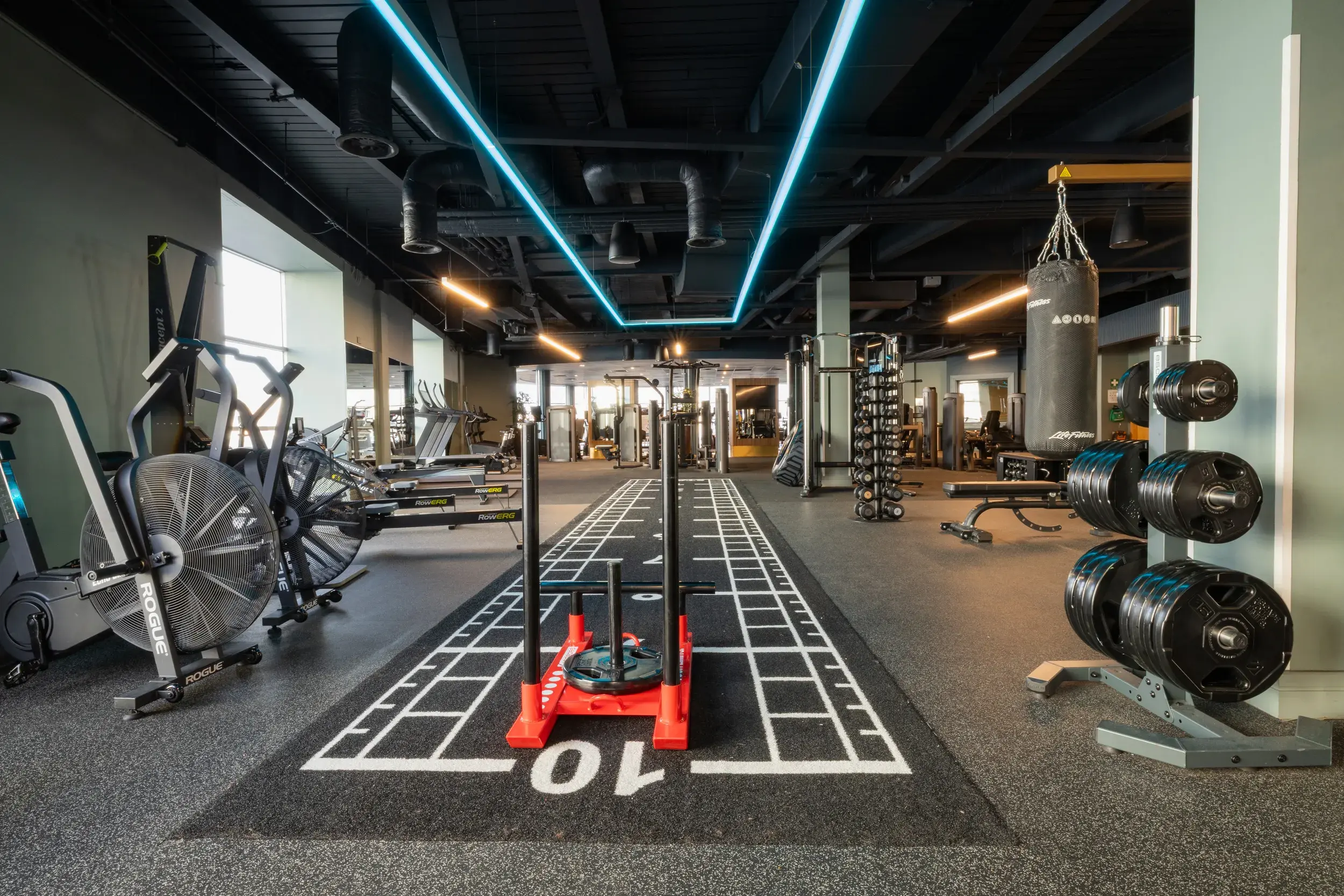 Sled in the gym