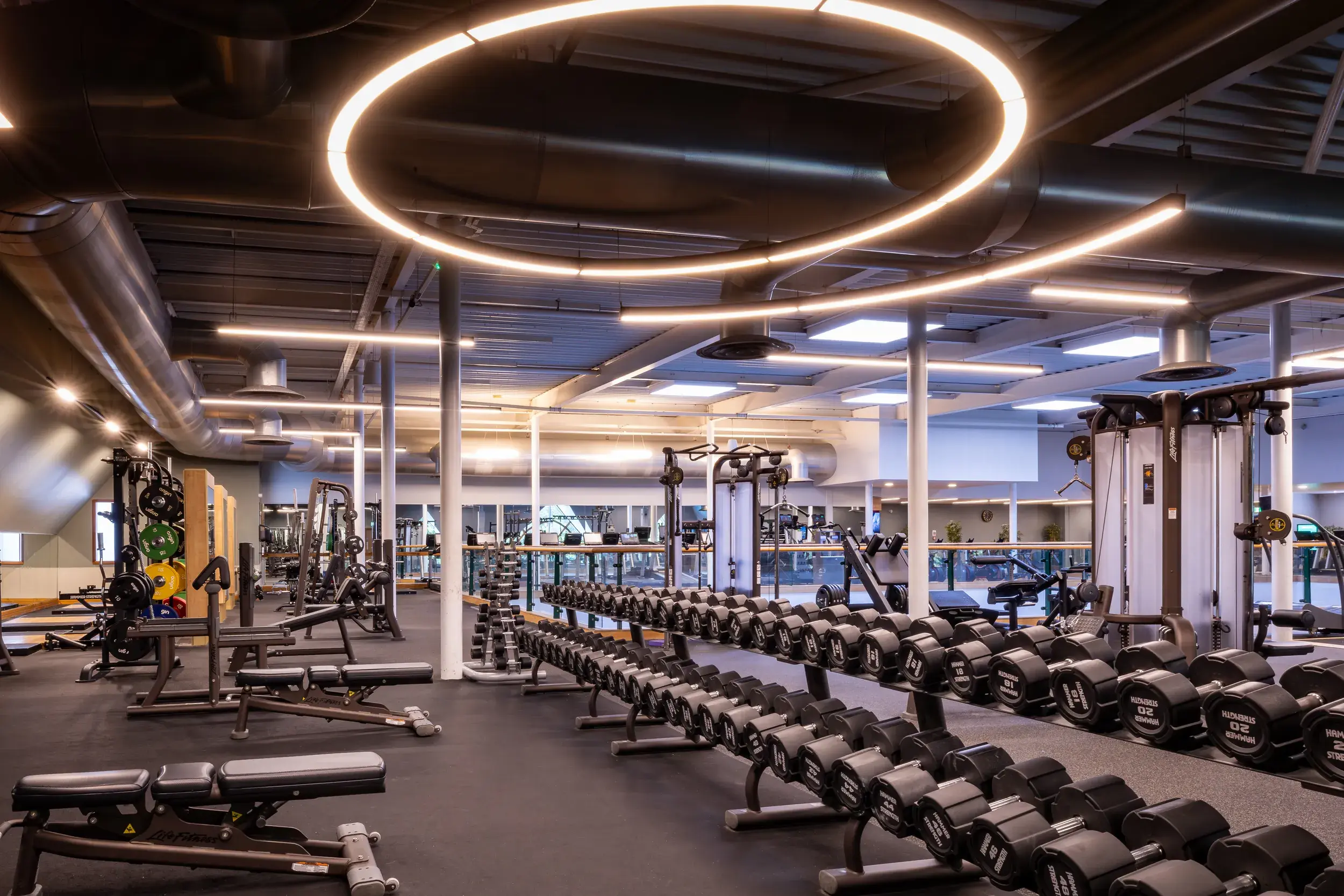 Dumbbells and the gym floor at David Lloyd Manchester Trafford City