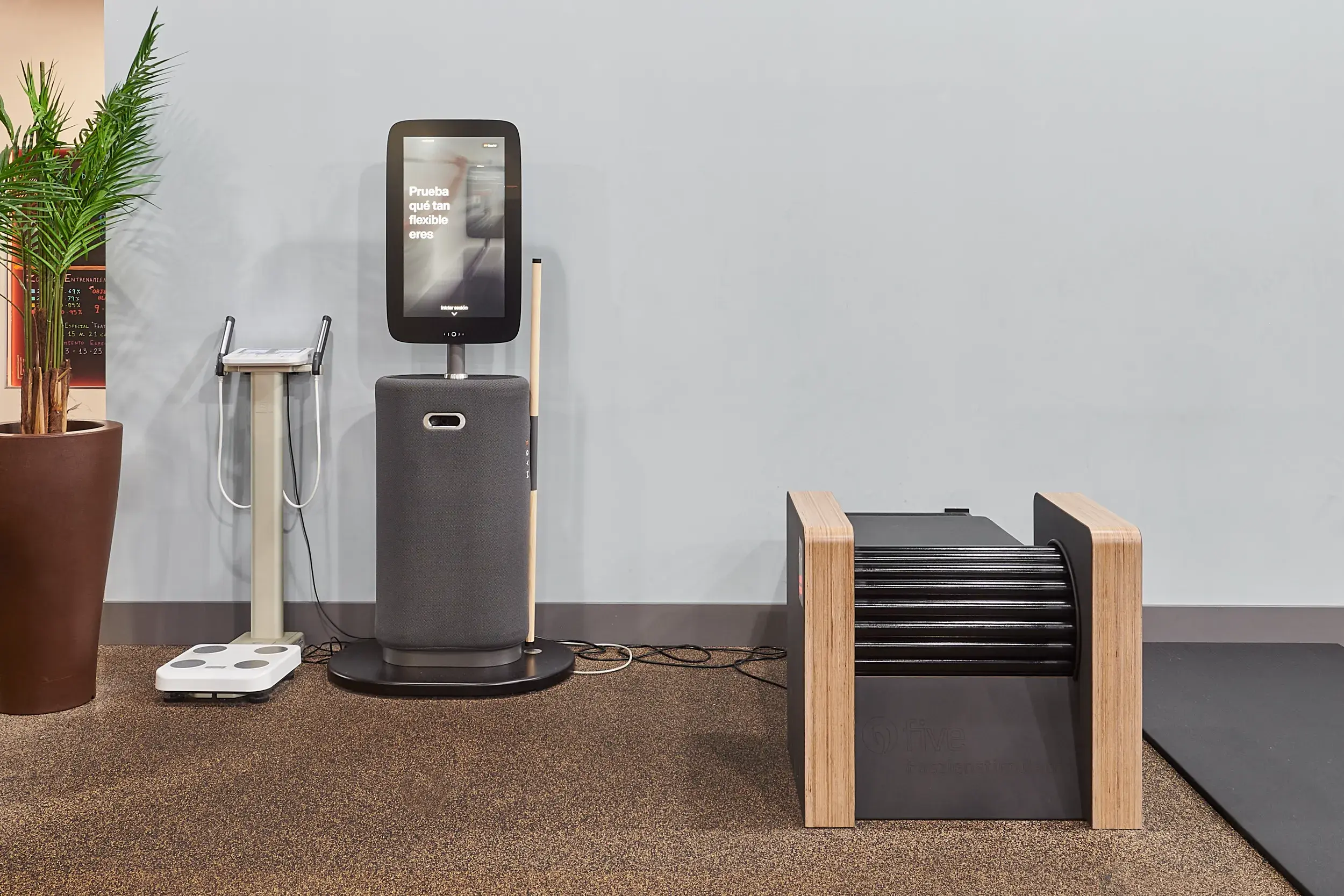 Equipment in the gym