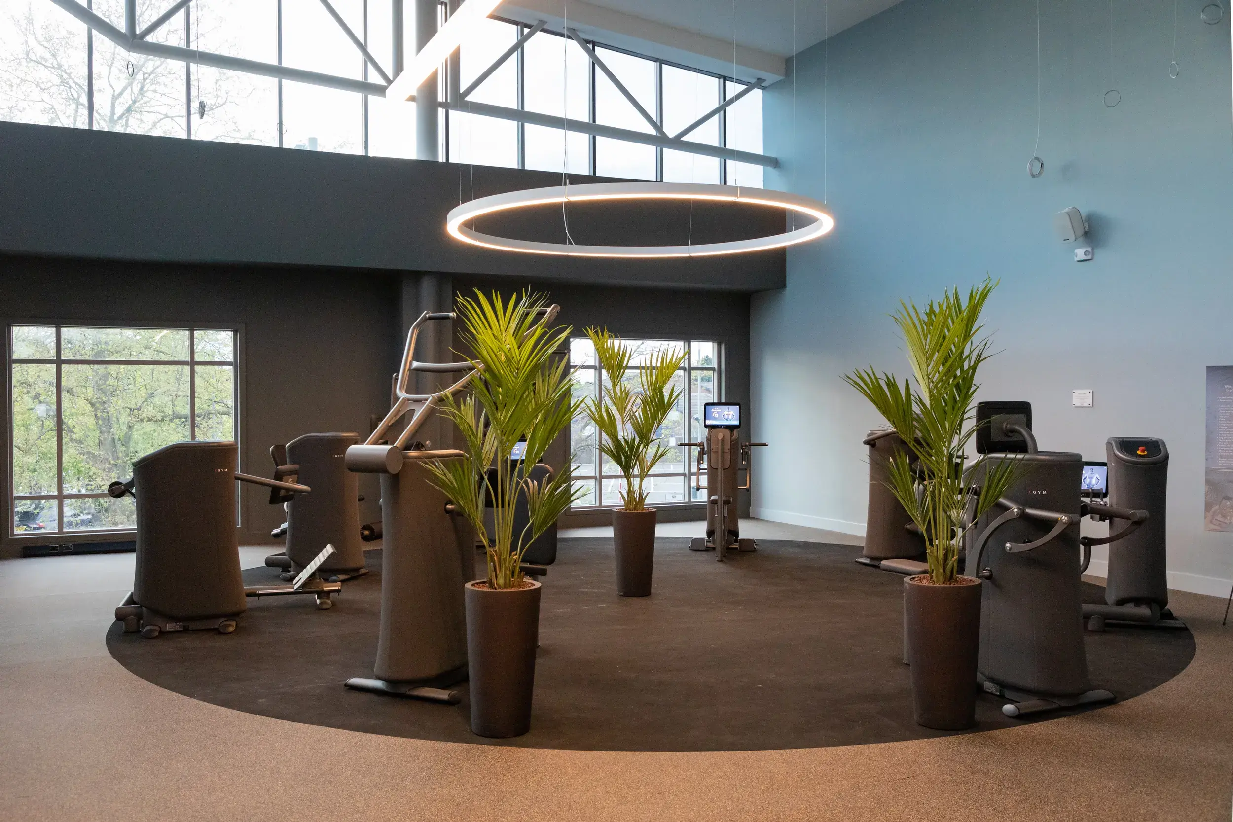 The Intuitive Strength Circuit at Cricklewood Lane