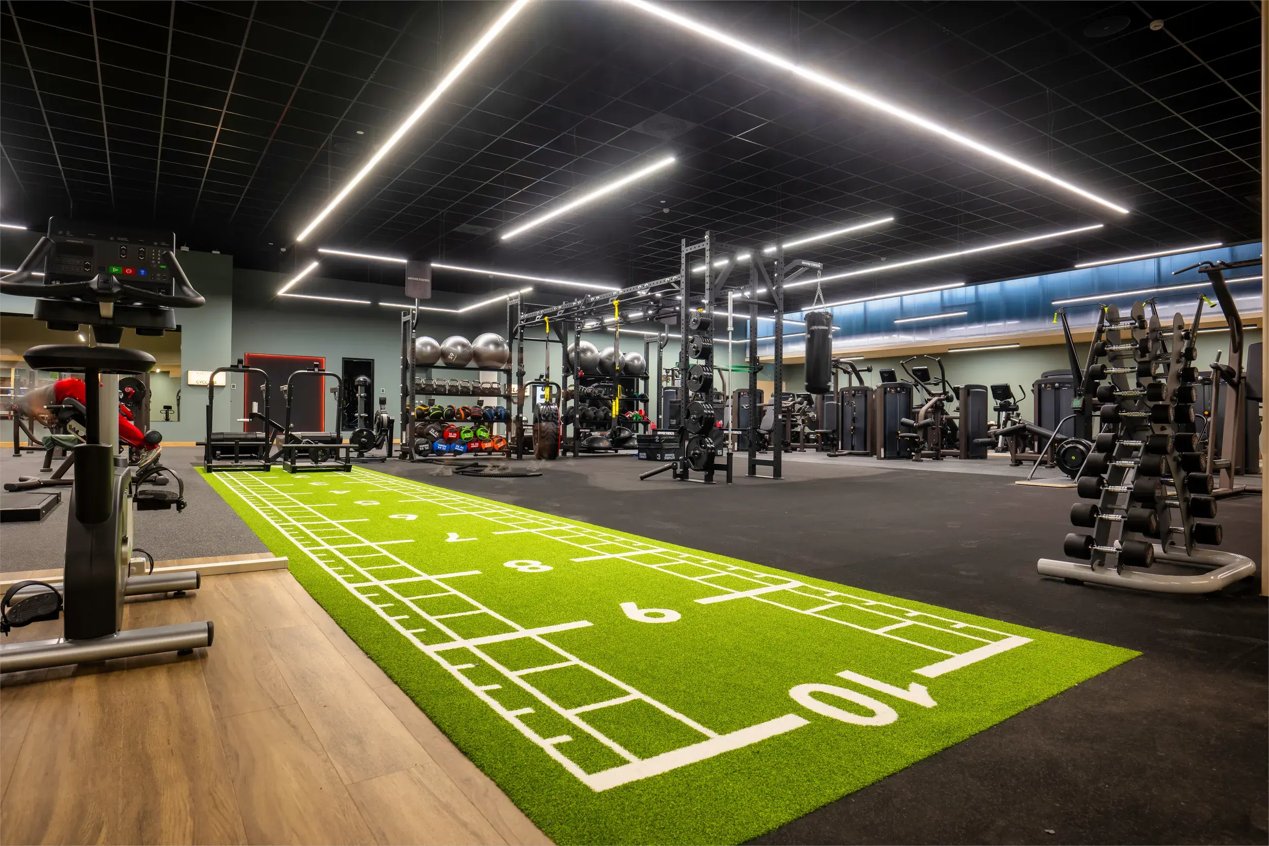 Gym at David Lloyd Clubs