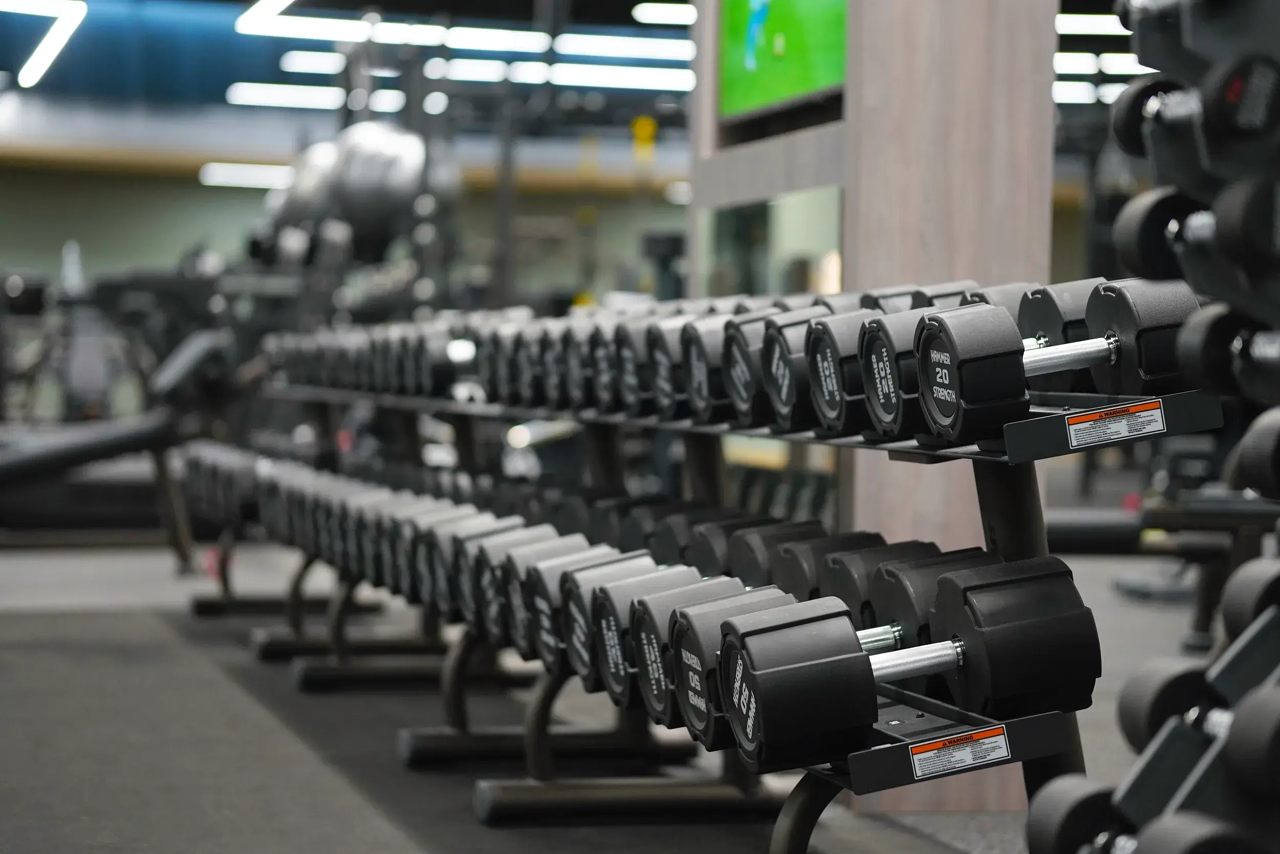 A rack of weights and Olympic lifting platforms