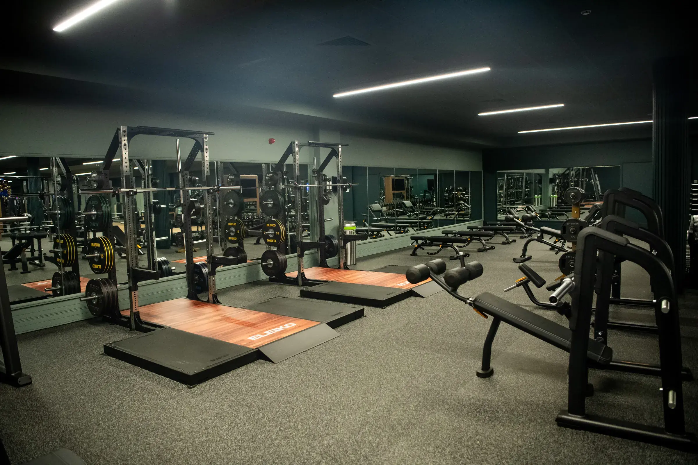 Lifting platforms in the gym in David Lloyd Basildon