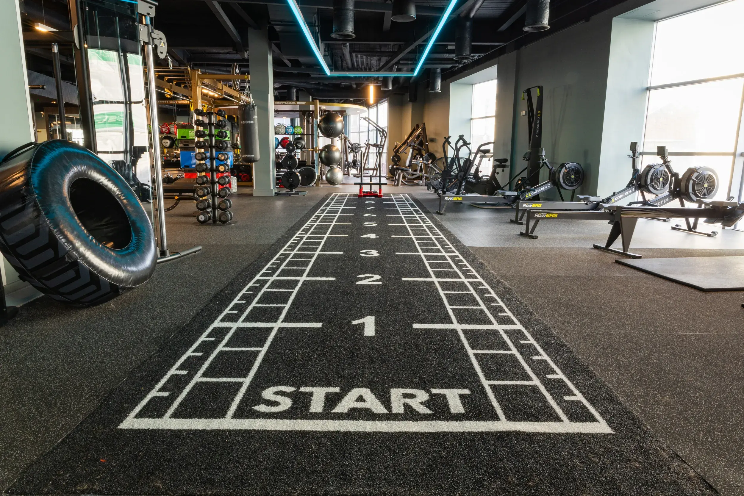 Equipment in the gym at David Lloyd Kingston