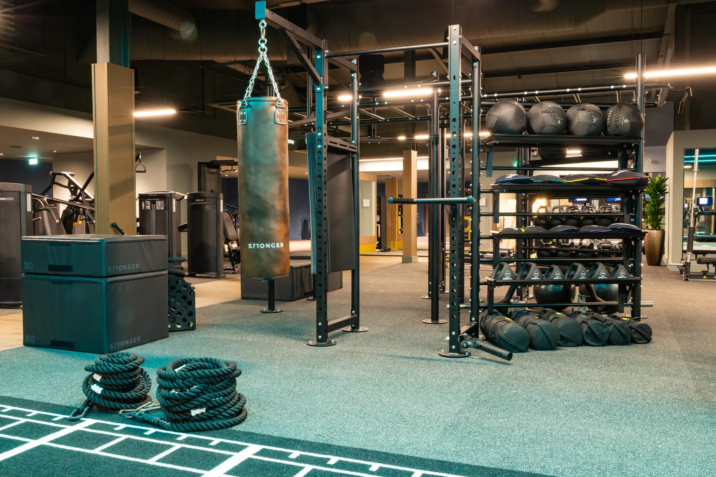 Functional training equipment 