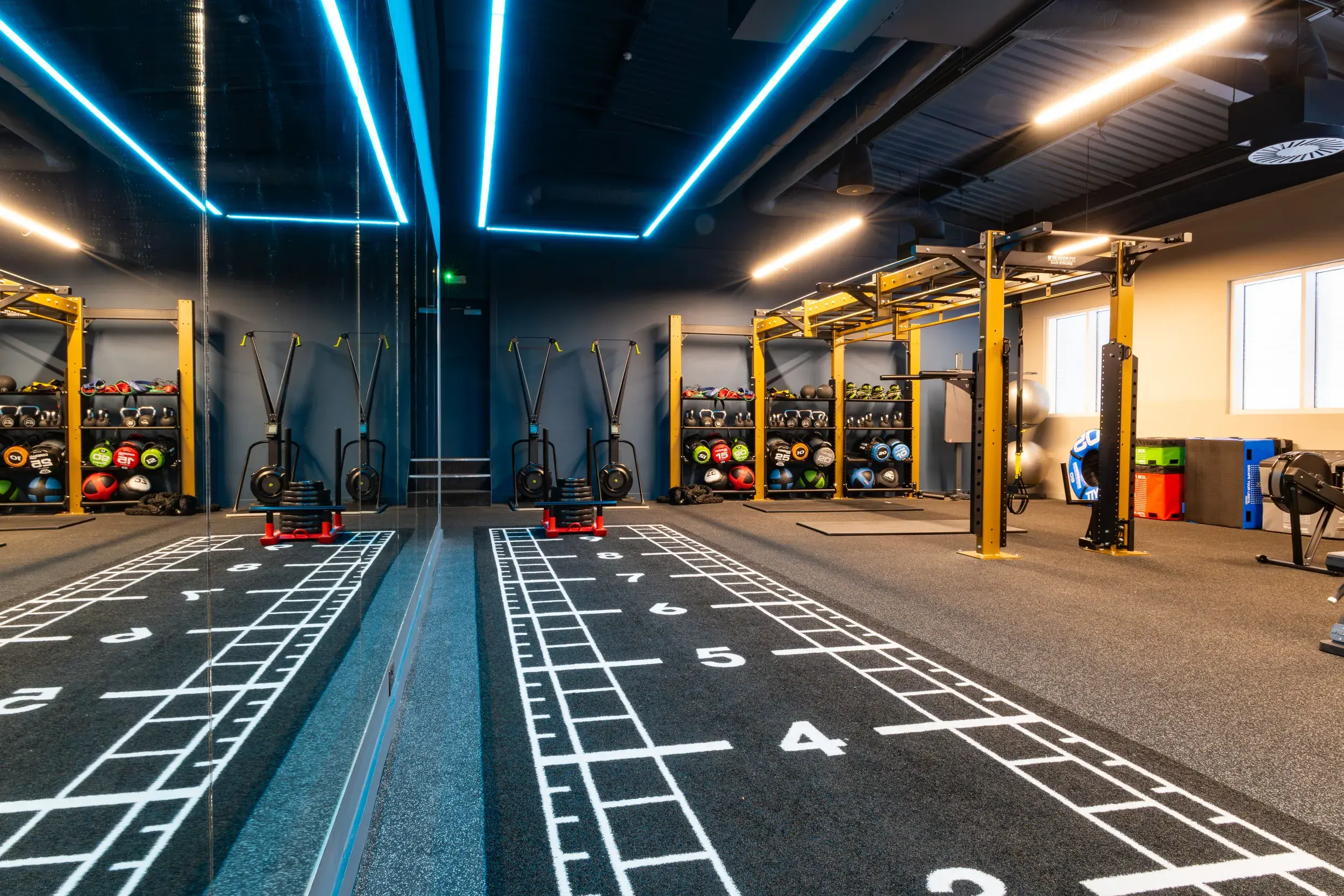 A functional training area and weights