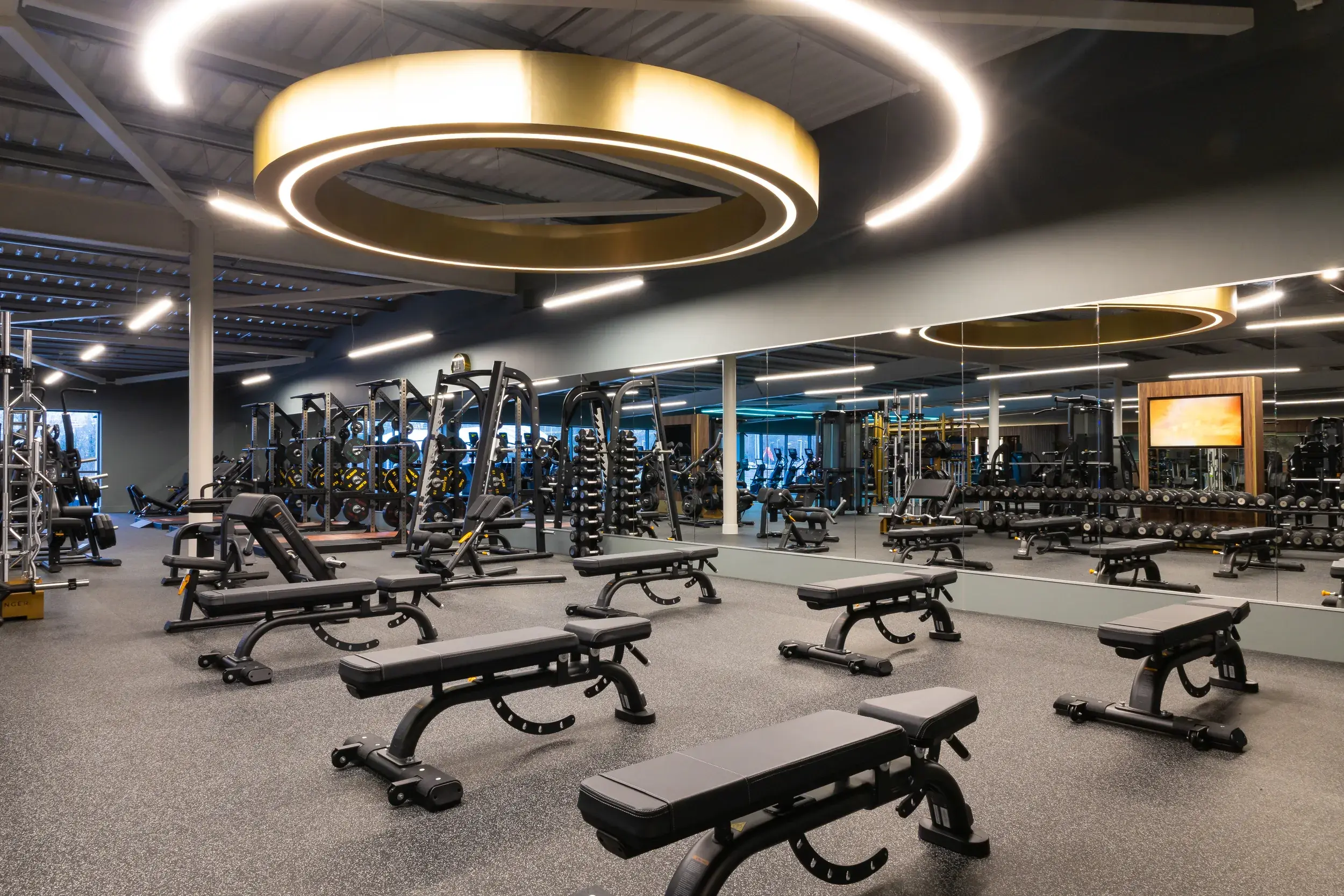 The gym at David Lloyd Harlow