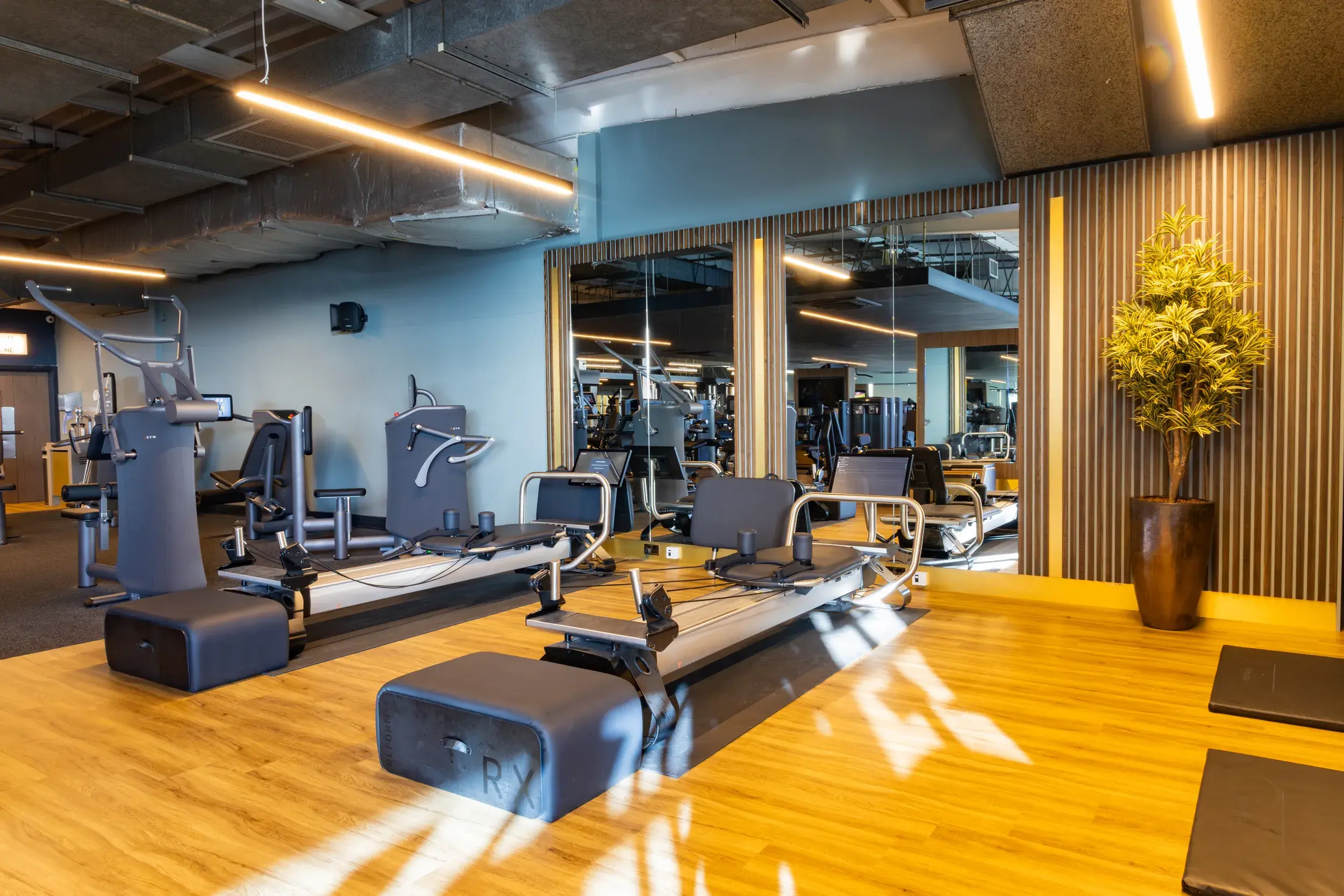 The Intuitive Strength Circuit