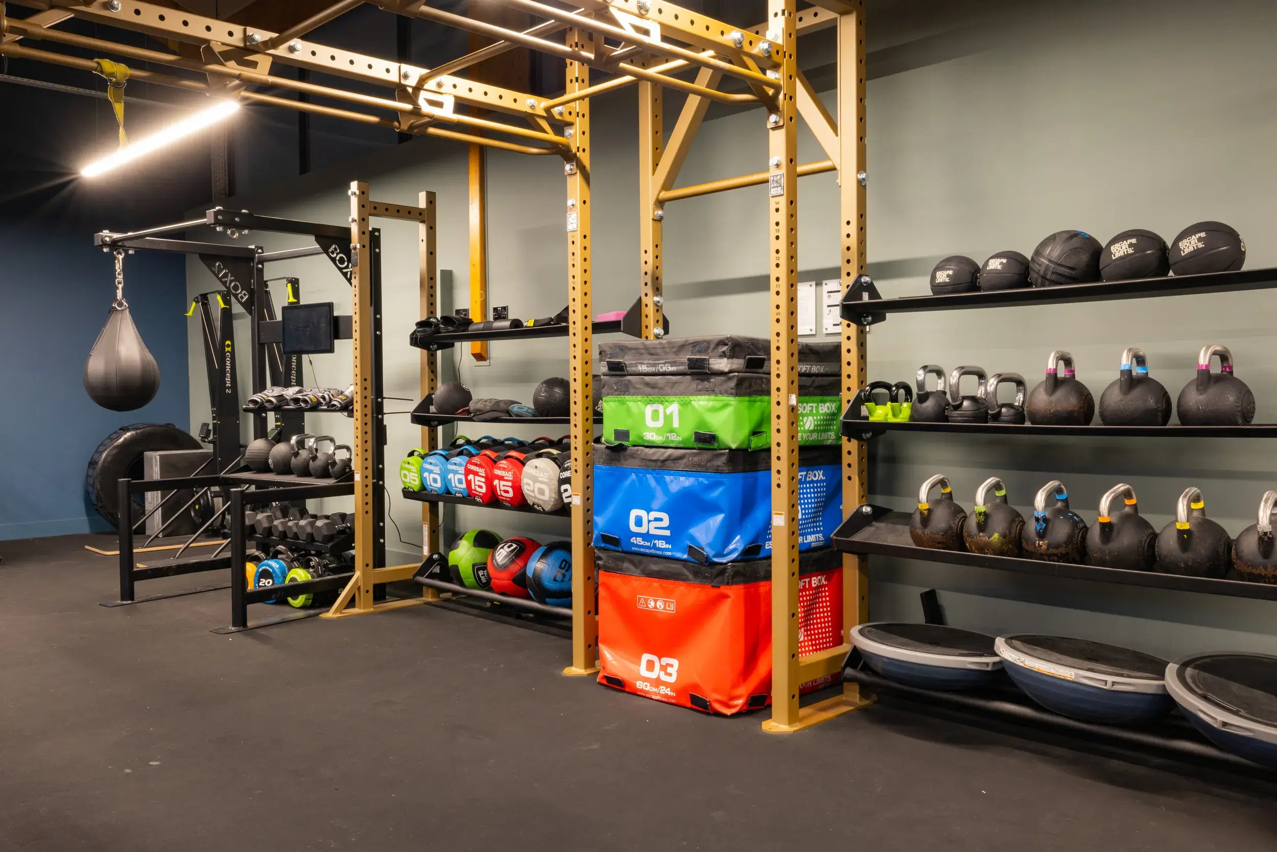 Functional training gym equipment