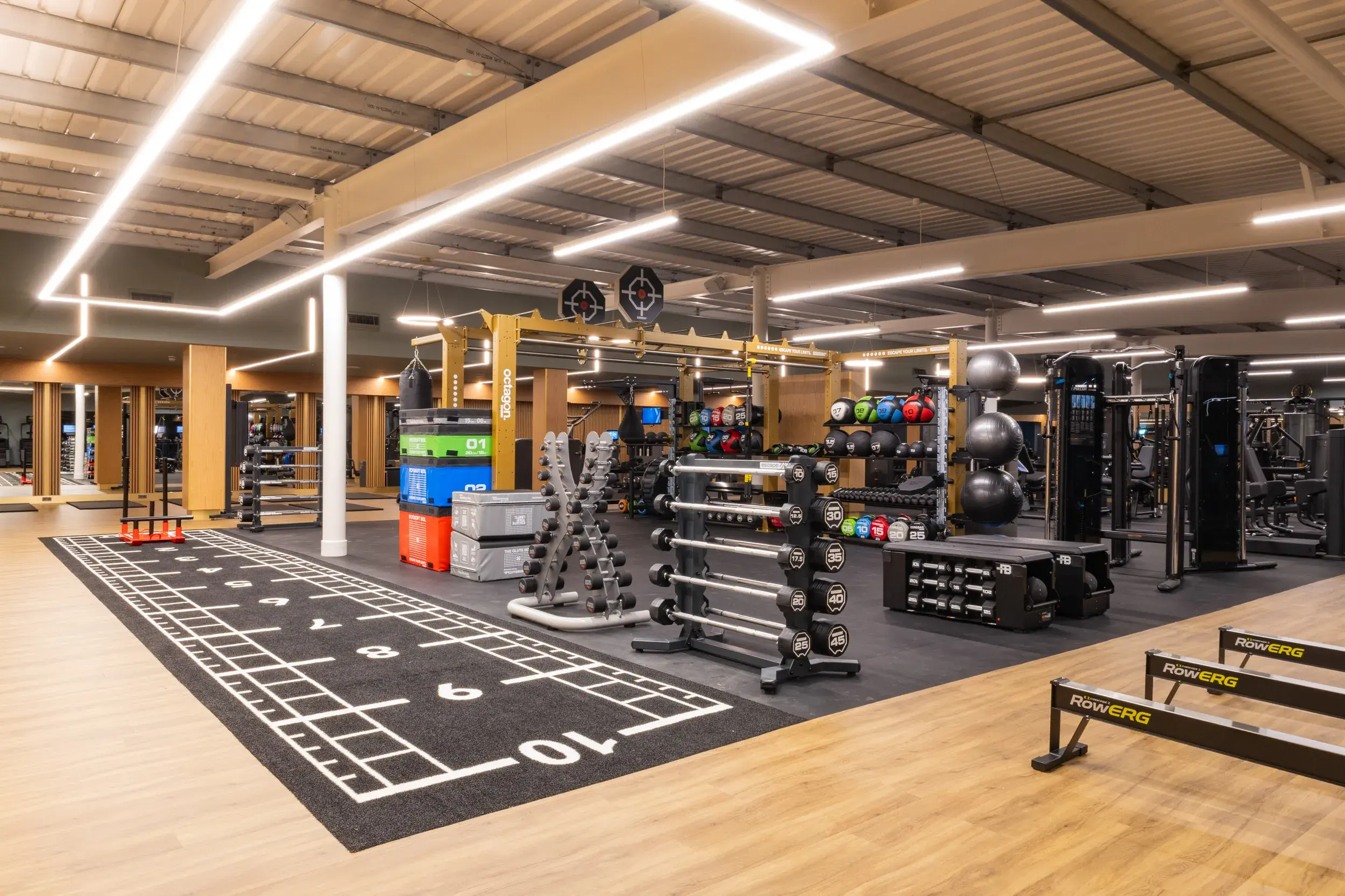 Gym equipment