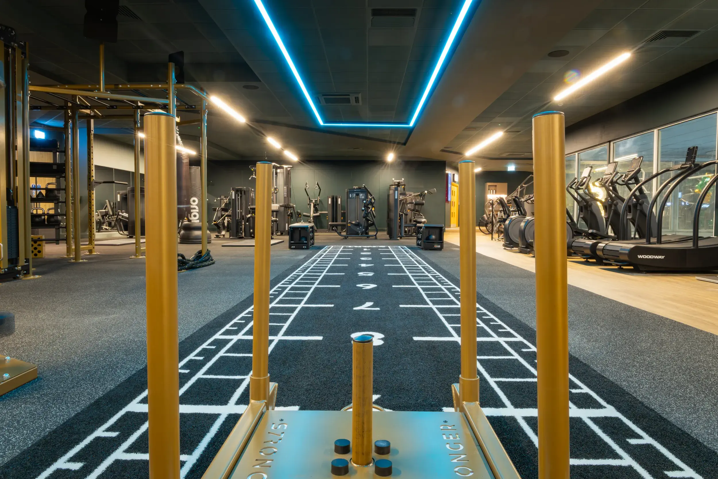 A weighted sled and functional training gym equipment