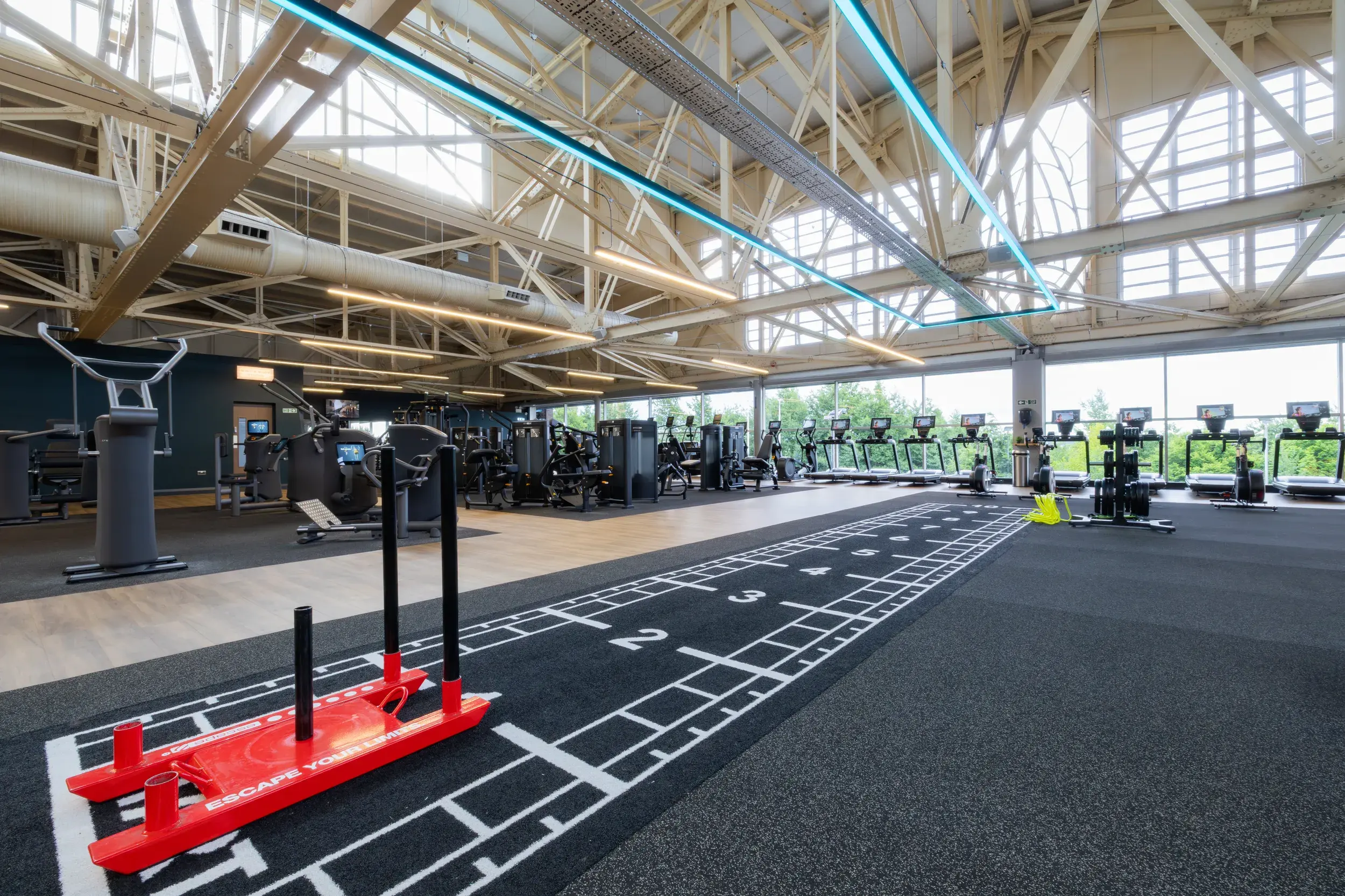 A weighted sled and functional training gym equipment