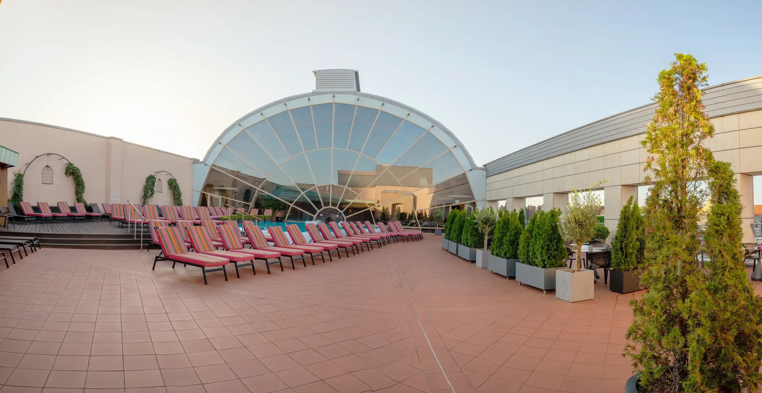 The roof terrace