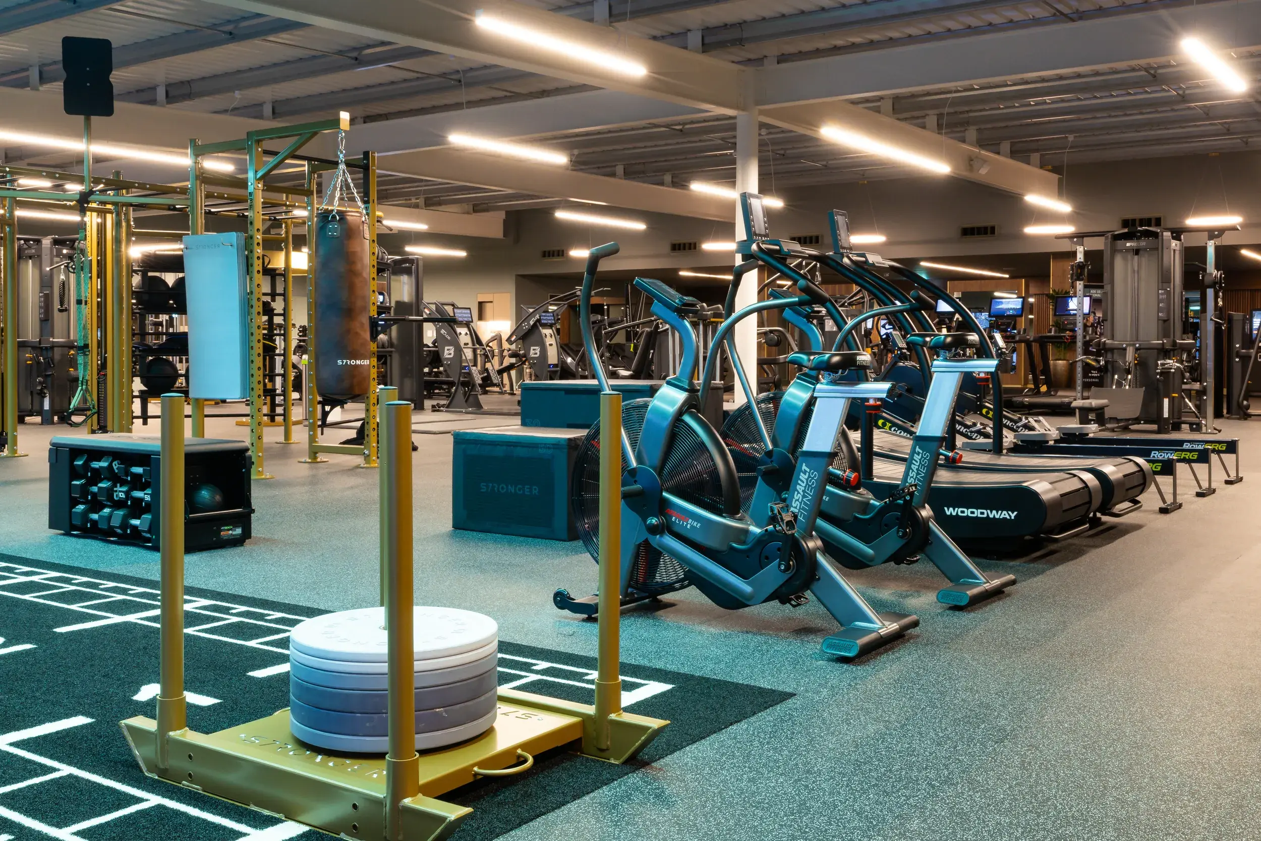 Gym floor in Southampton
