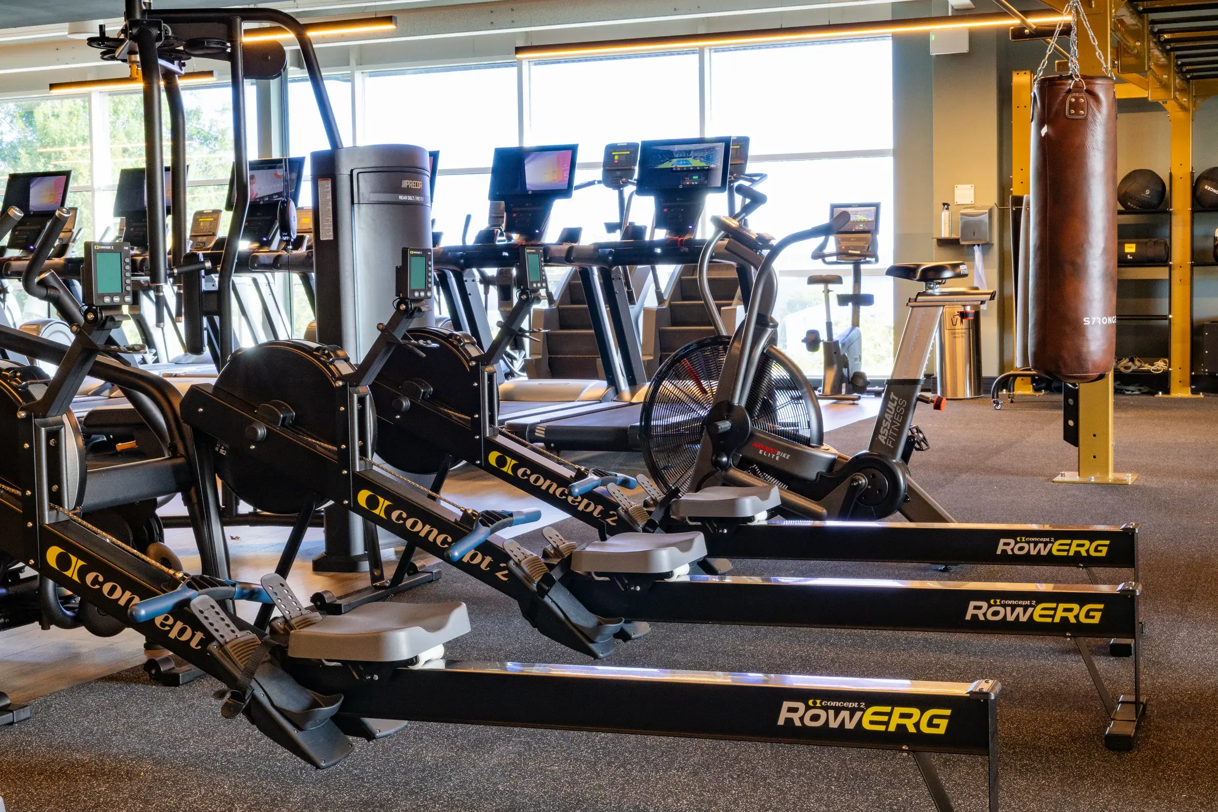 Rowing machines at David Lloyd Luton