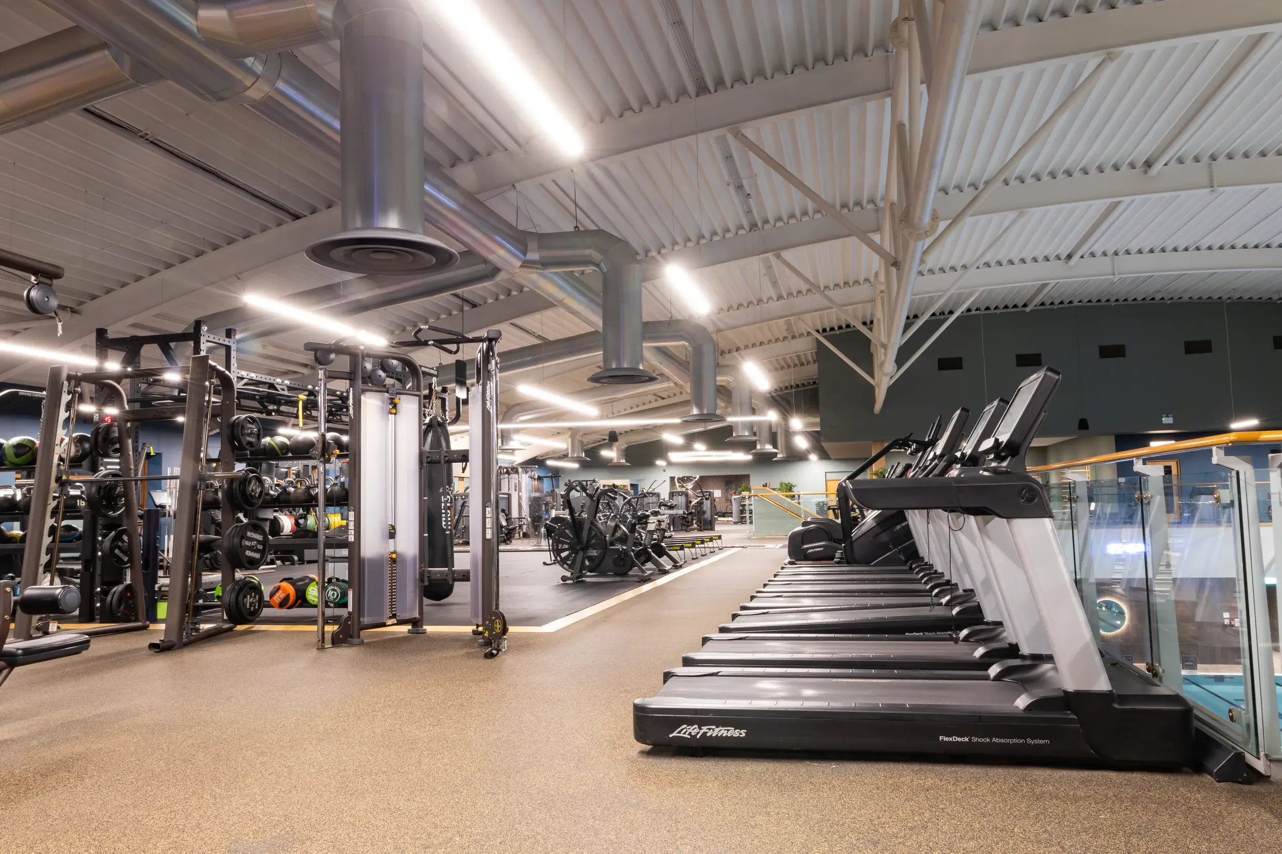 The gym at Beckenham