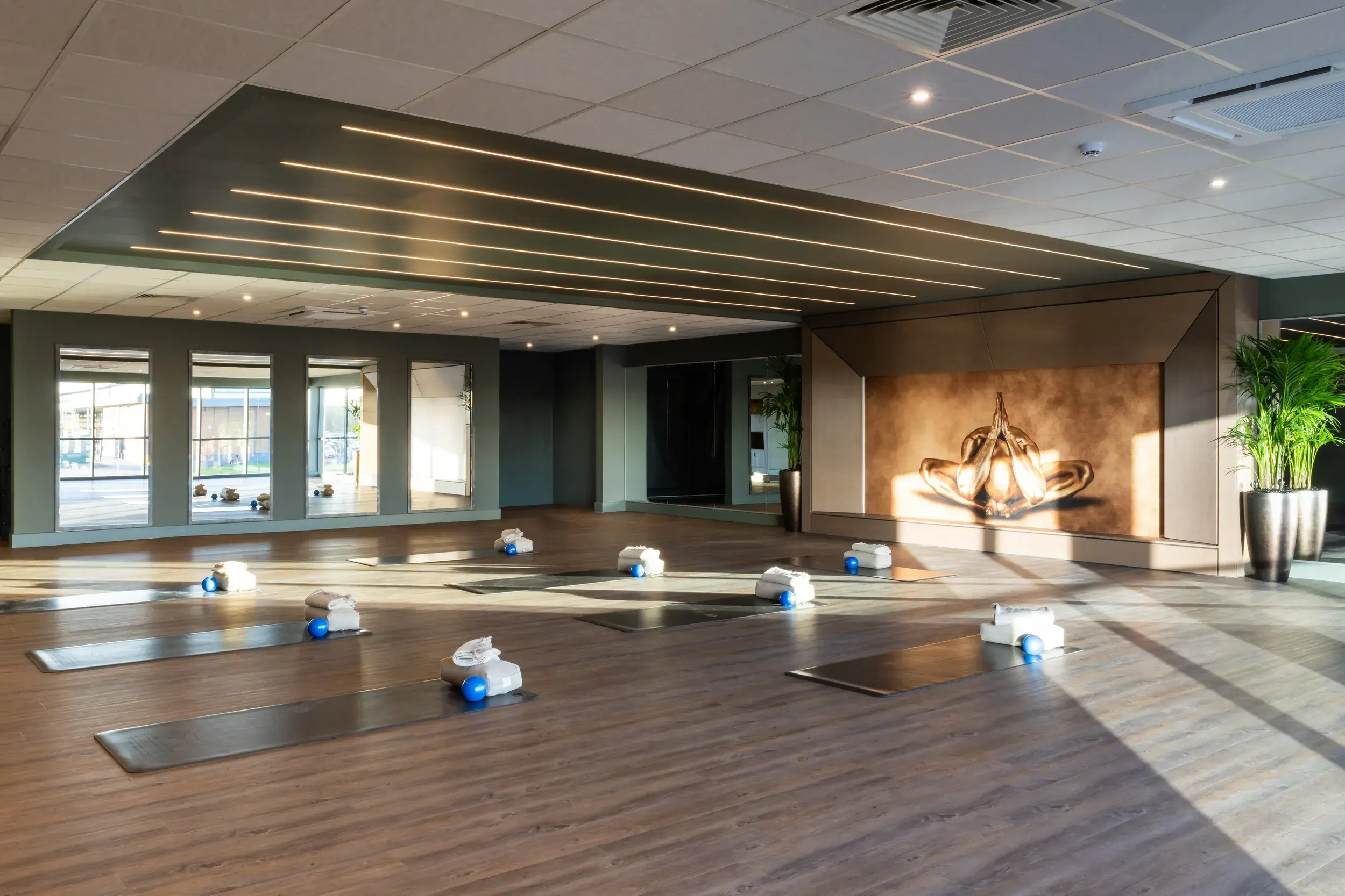 Mind and Body studio with Reformer Pilates beds