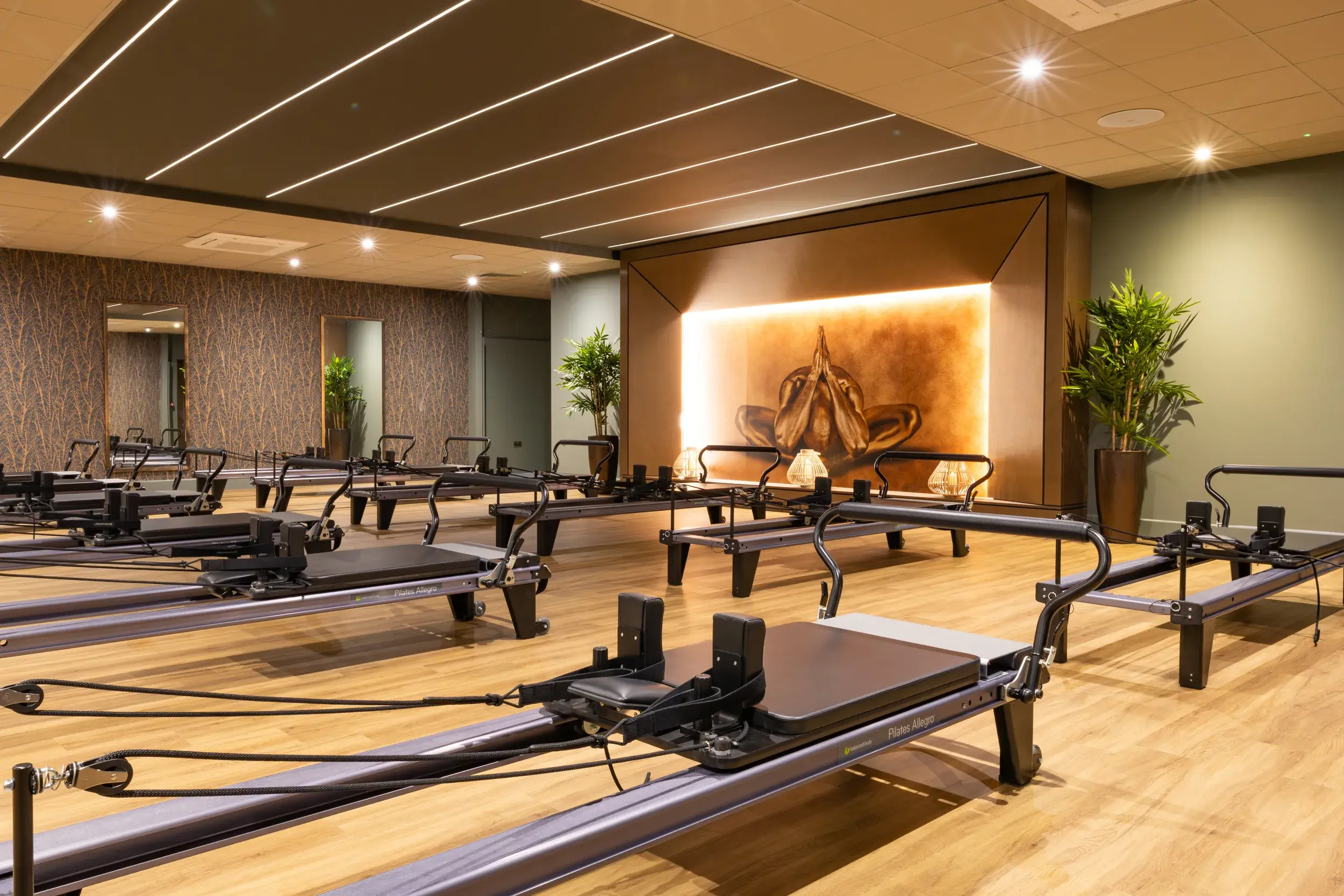 Mind and body studio with reformer beds 