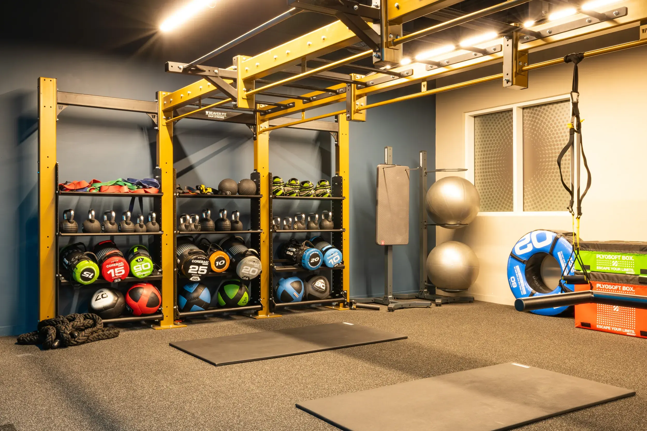 Functional training equipment 