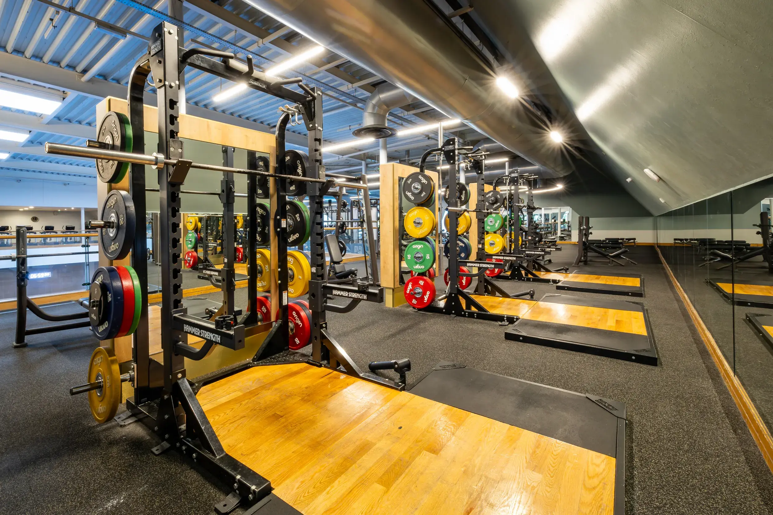 A spread of the state of the art gym equipment available